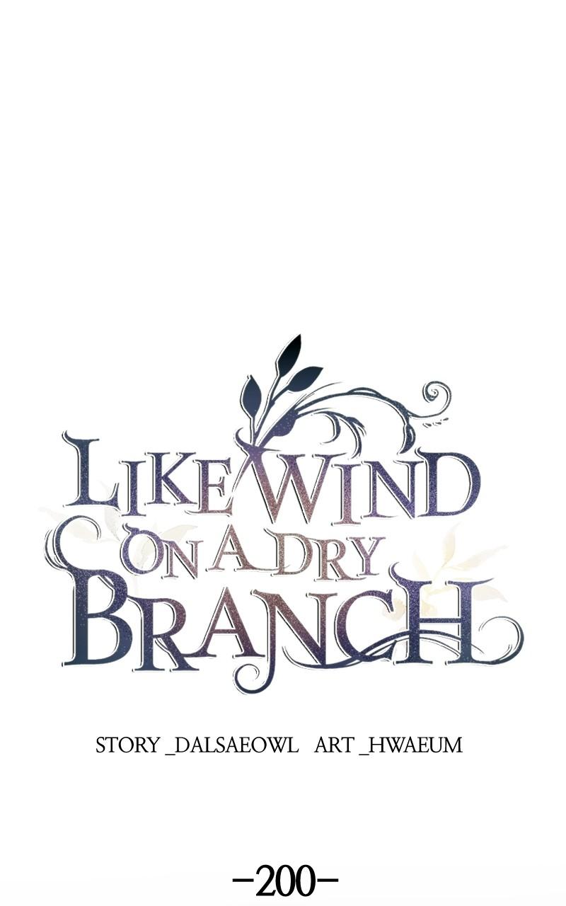 Like Wind on a Dry Branch Chap 200 - Next Chap 201