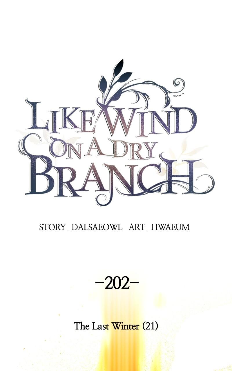 Like Wind on a Dry Branch Chap 202 - Next Chap 203