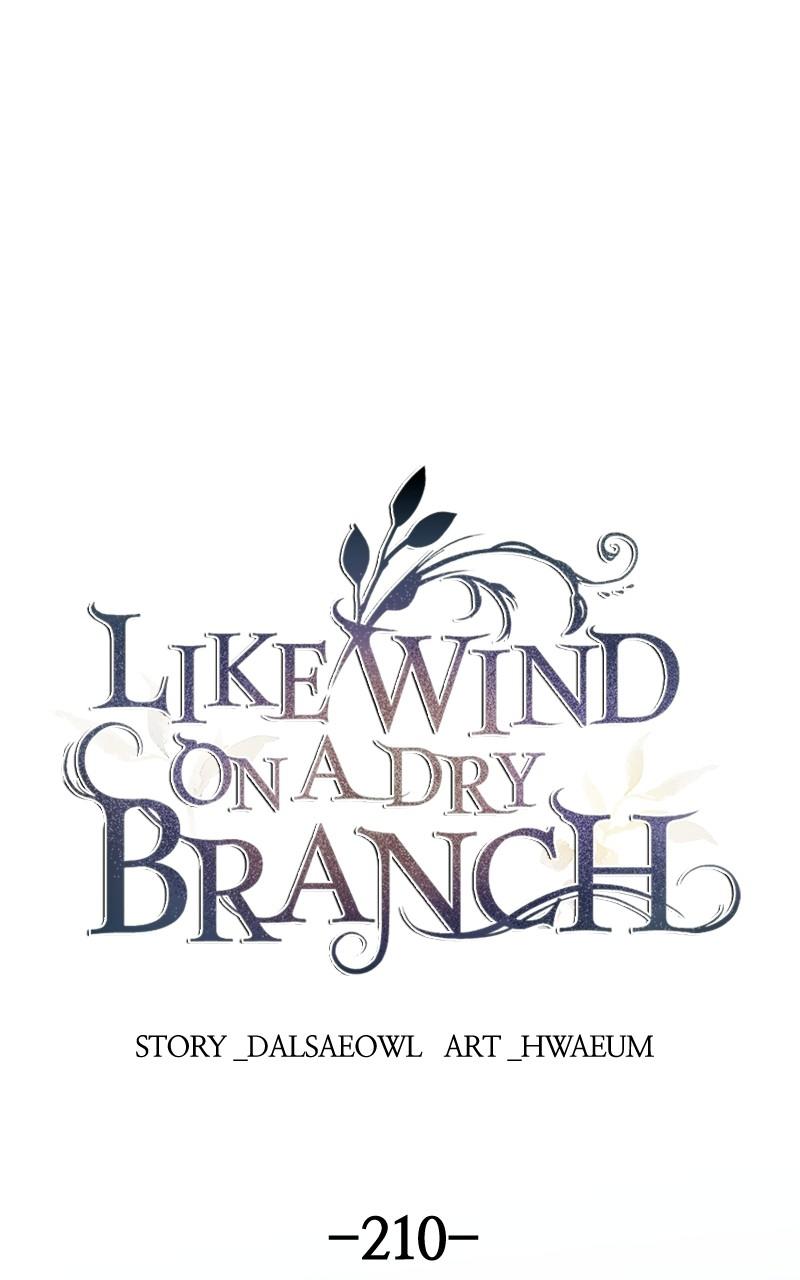 Like Wind on a Dry Branch Chap 210 - Next Chap 211