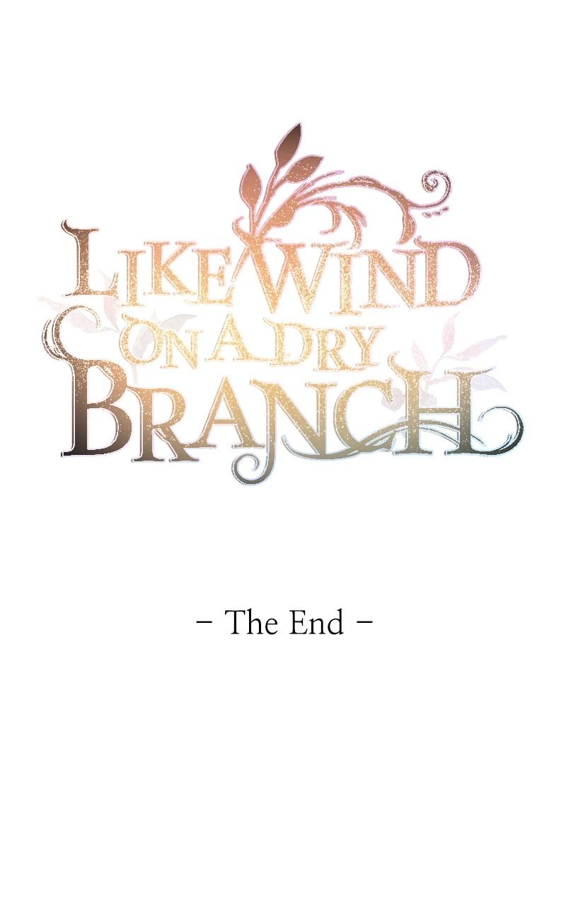 Like Wind on a Dry Branch Chap 211 - Next Chap 212