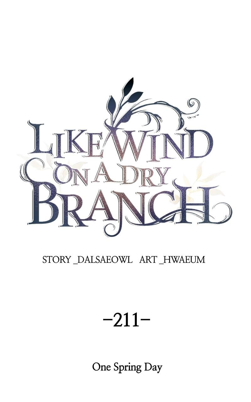 Like Wind on a Dry Branch Chap 211 - Next Chap 212