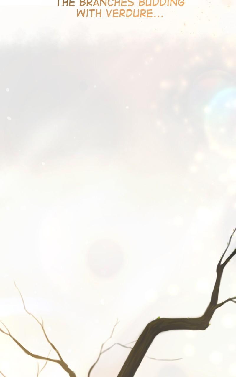 Like Wind on a Dry Branch Chap 211 - Next Chap 212