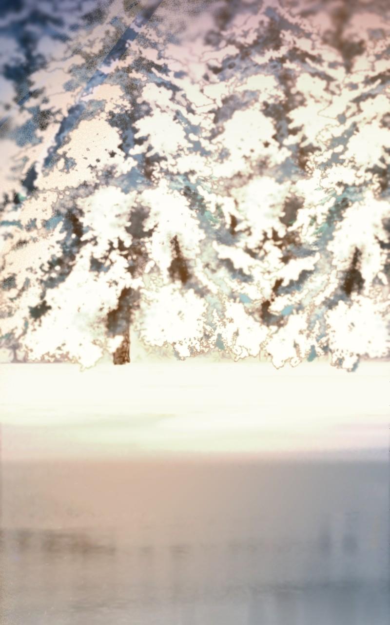 Like Wind on a Dry Branch Chap 211 - Next Chap 212
