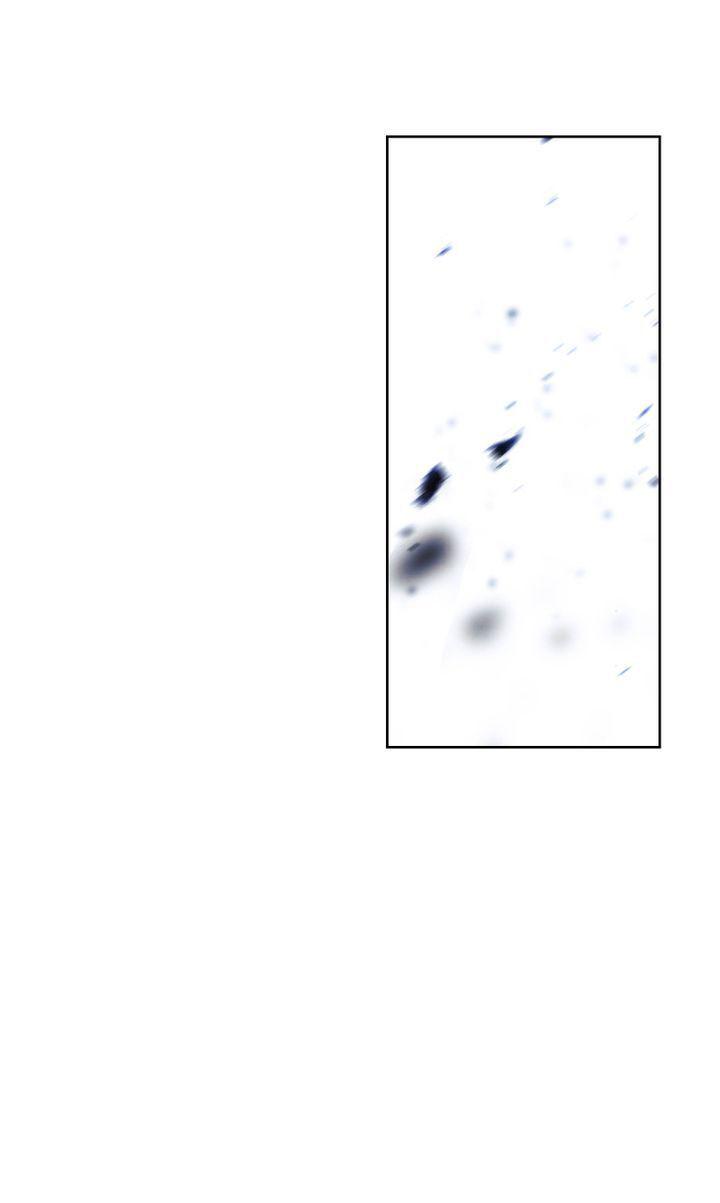 The Live Chap 44 - Next Chap 45