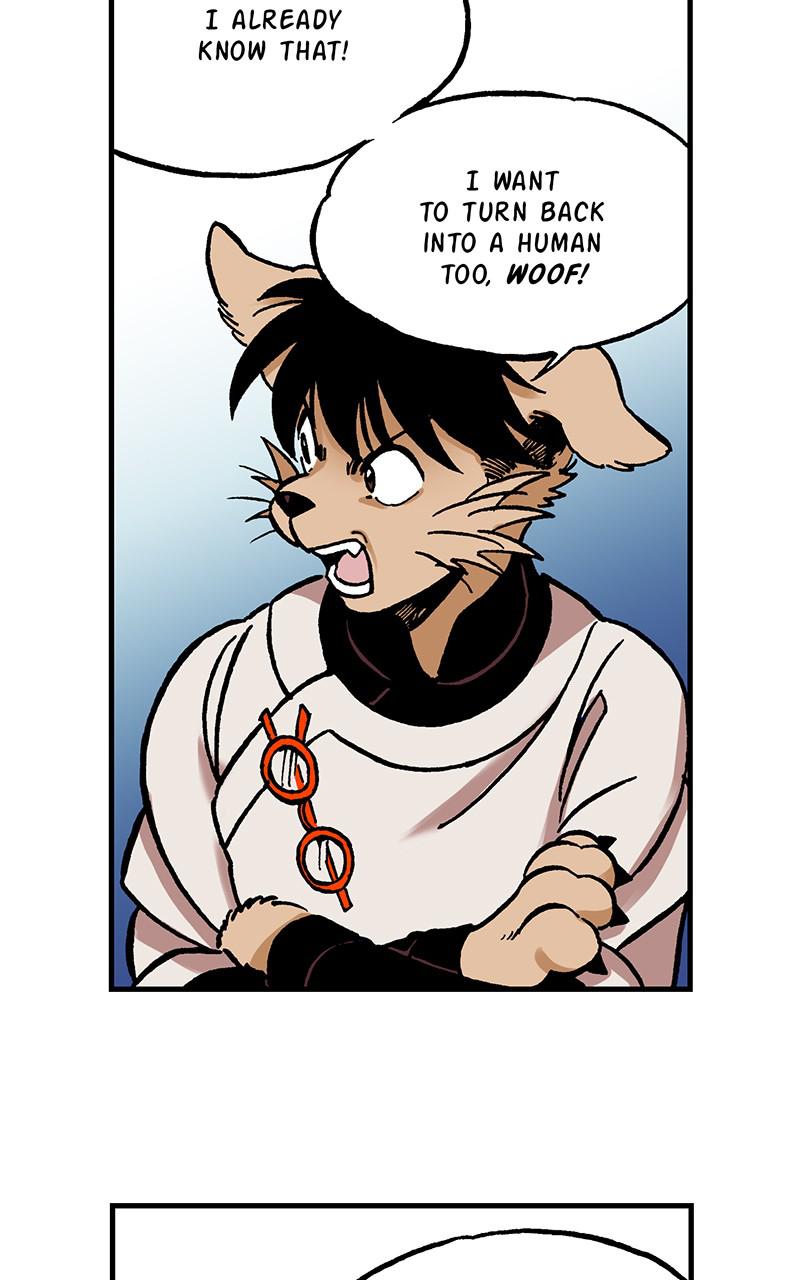 King of the East Chap 18 - Next Chap 19