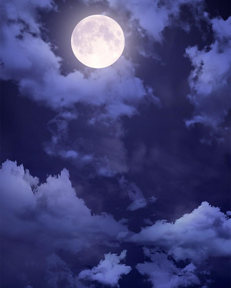 The Tax Reaper Chap 27 - Next Chap 28