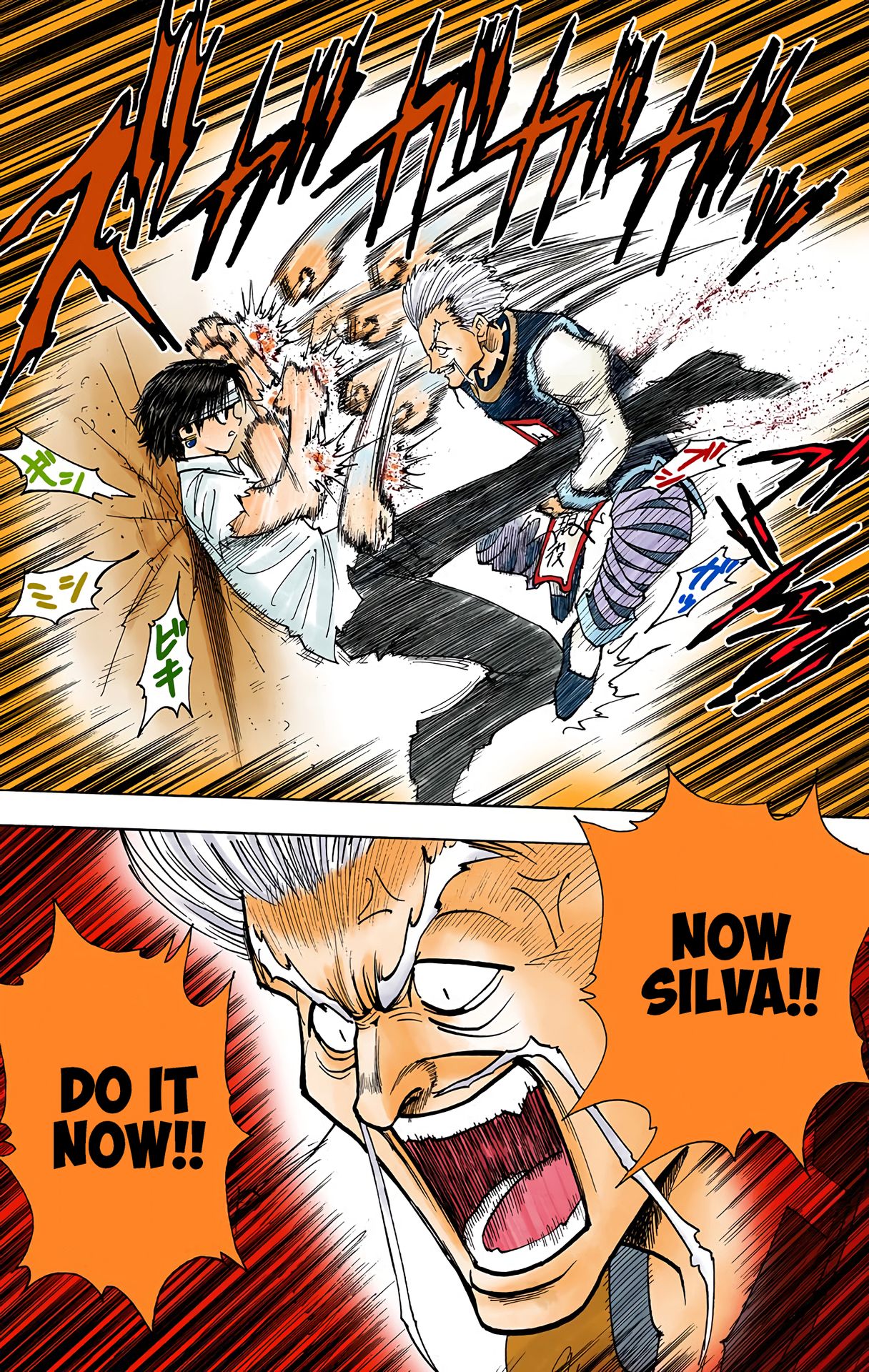 Hunter x Hunter - Digital Colored Comics Chap 99 - Next Chap 100
