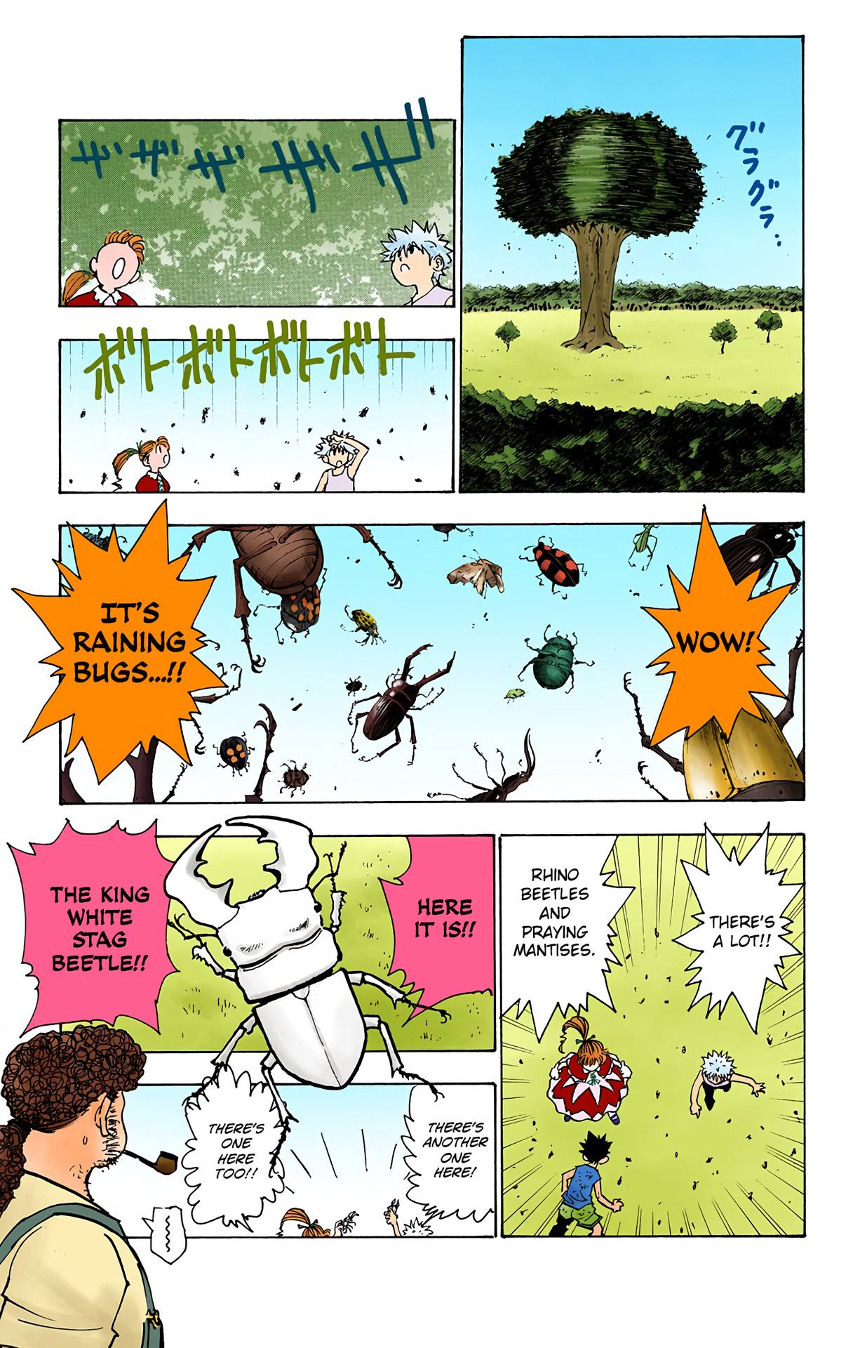 Hunter x Hunter - Digital Colored Comics Chap 150 - Next Chap 151
