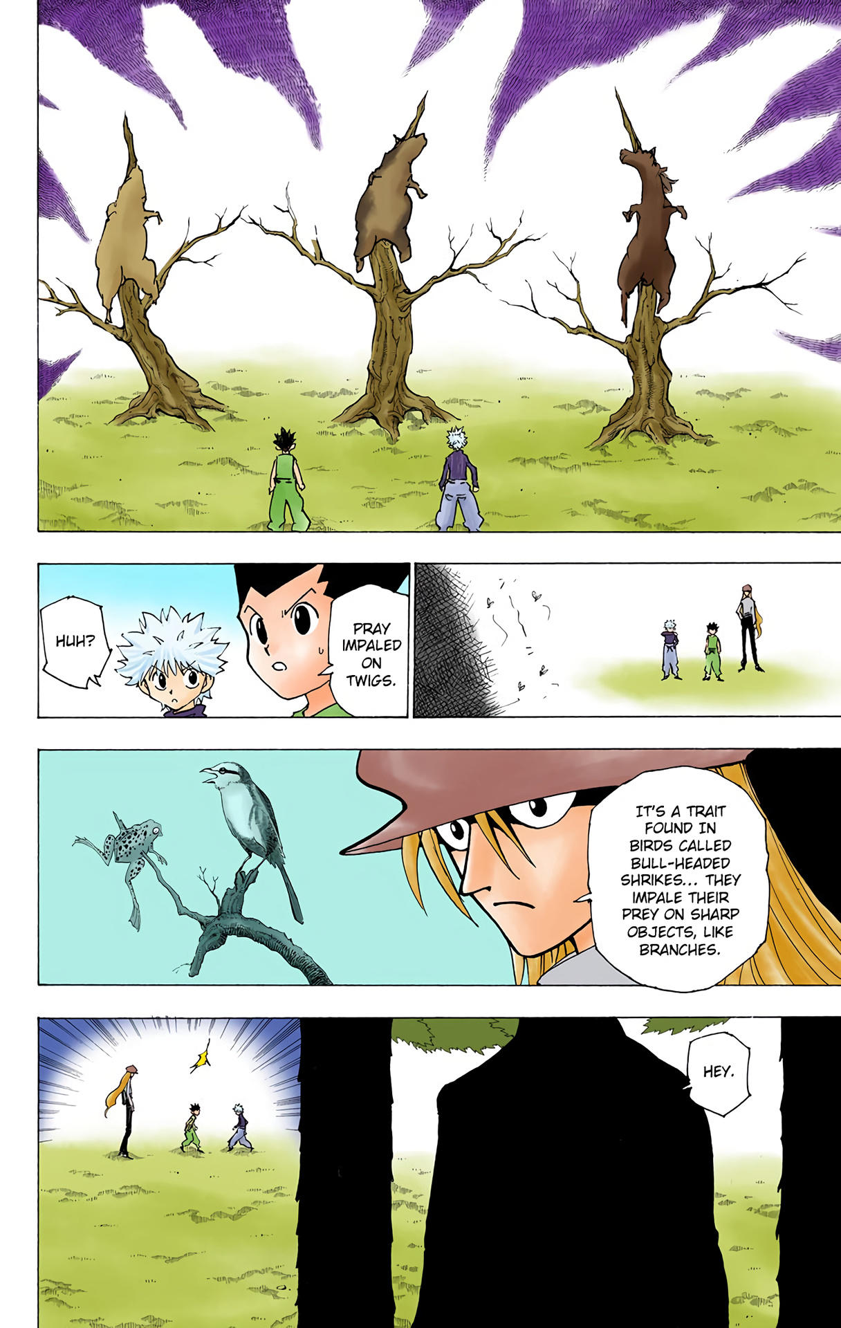 Hunter x Hunter - Digital Colored Comics Chap 191 - Next Chap 192