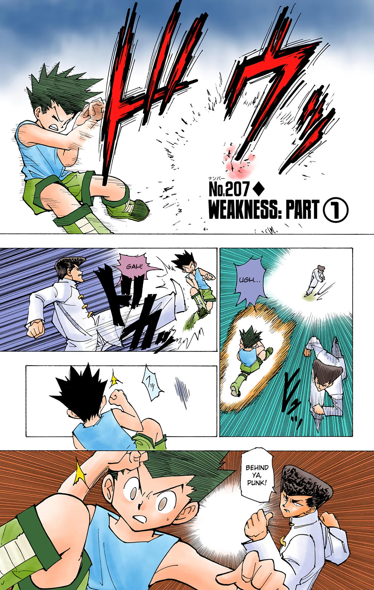 Hunter x Hunter - Digital Colored Comics Chap 207 - Next Chap 208