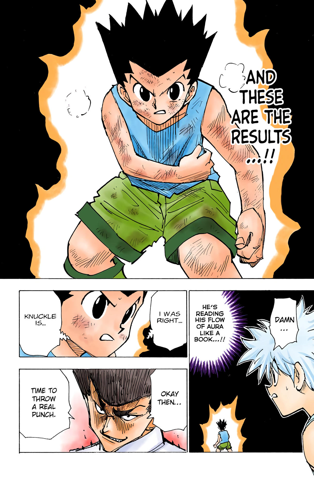Hunter x Hunter - Digital Colored Comics Chap 207 - Next Chap 208
