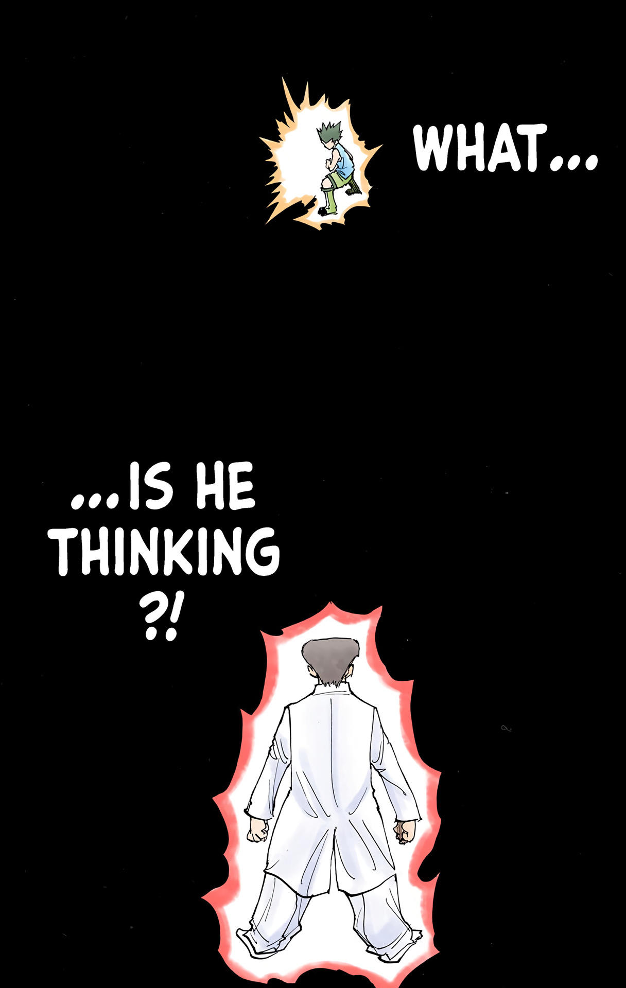 Hunter x Hunter - Digital Colored Comics Chap 208 - Next Chap 209