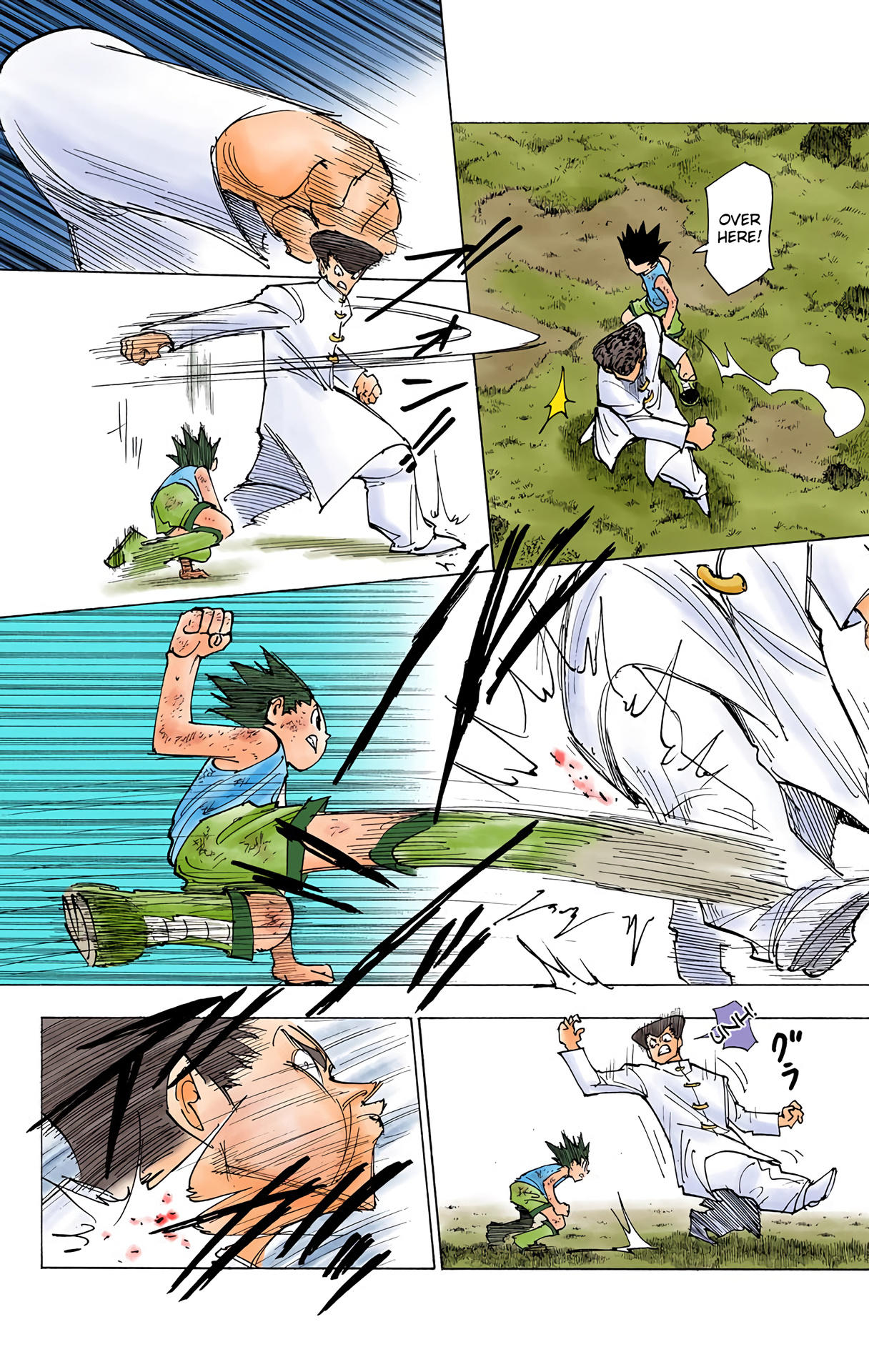 Hunter x Hunter - Digital Colored Comics Chap 208 - Next Chap 209
