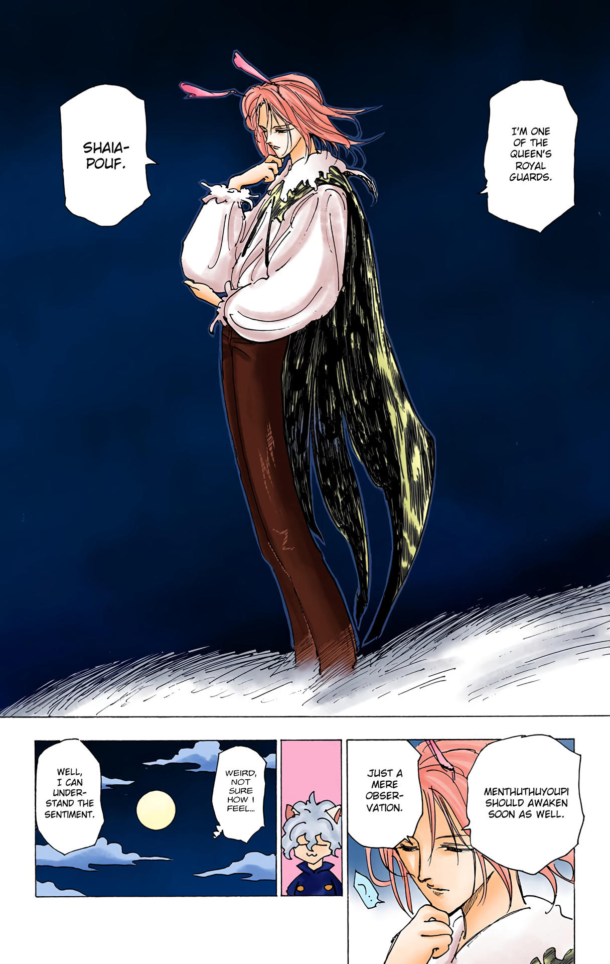 Hunter x Hunter - Digital Colored Comics Chap 202 - Next Chap 203