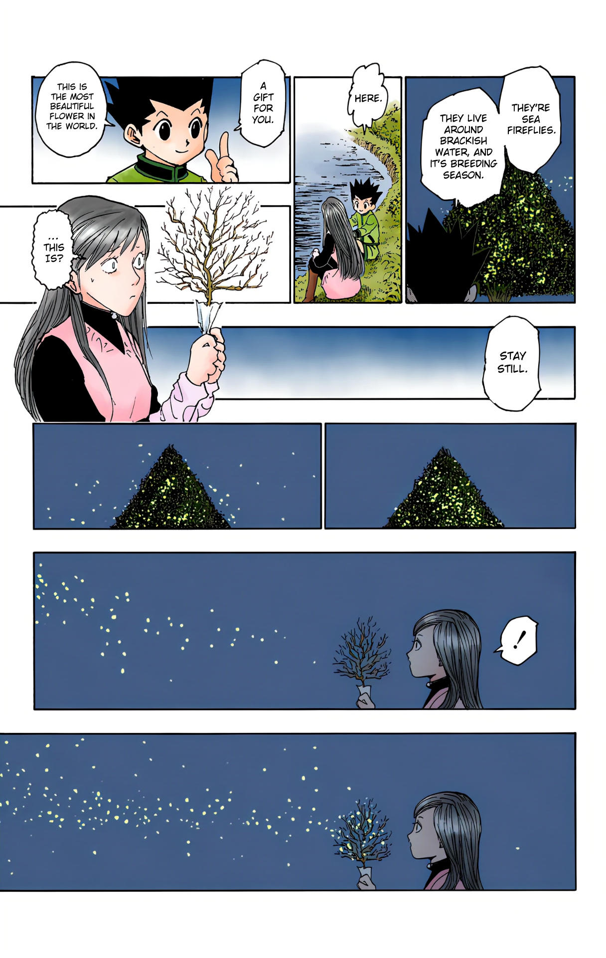 Hunter x Hunter - Digital Colored Comics Chap 218 - Next Chap 219
