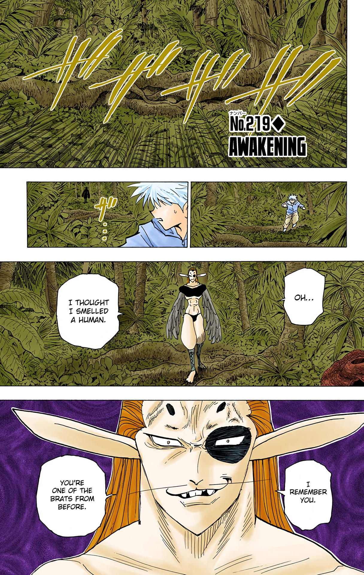 Hunter x Hunter - Digital Colored Comics Chap 219 - Next Chap 220