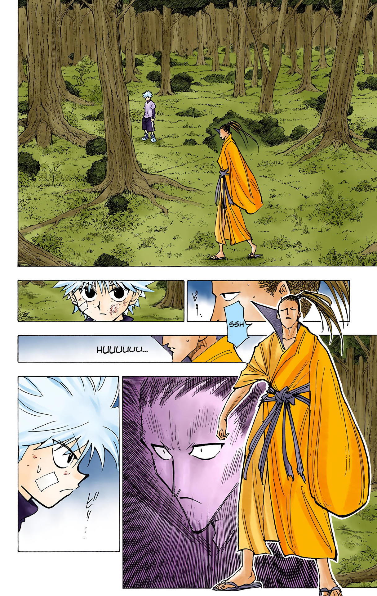Hunter x Hunter - Digital Colored Comics Chap 211 - Next Chap 212