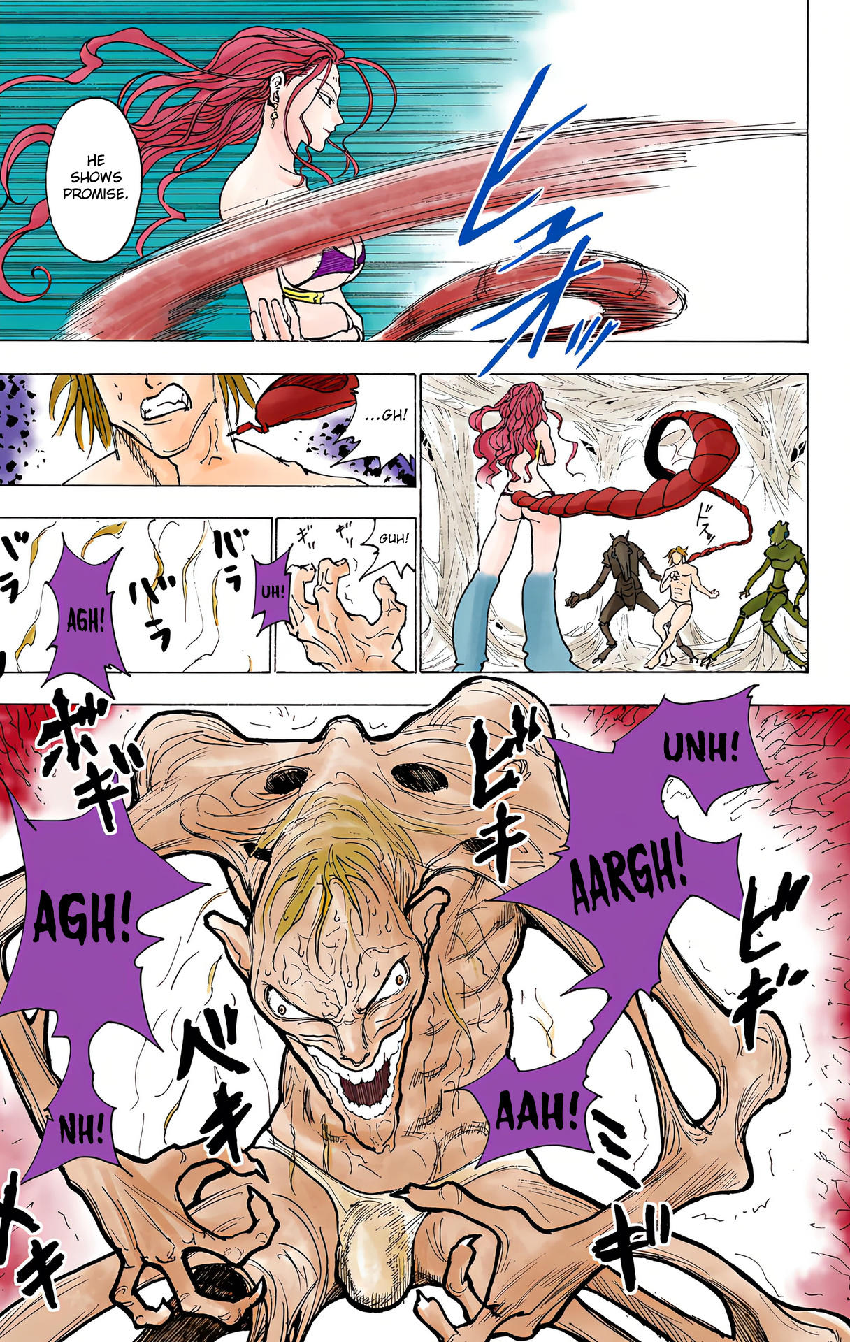 Hunter x Hunter - Digital Colored Comics Chap 224 - Next Chap 225