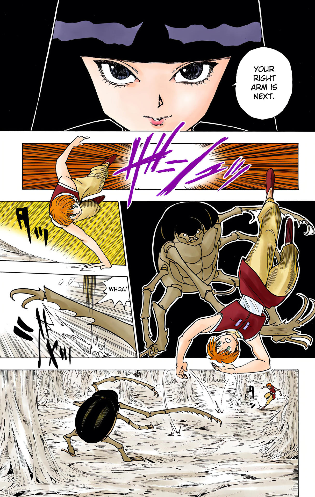 Hunter x Hunter - Digital Colored Comics Chap 226 - Next Chap 227