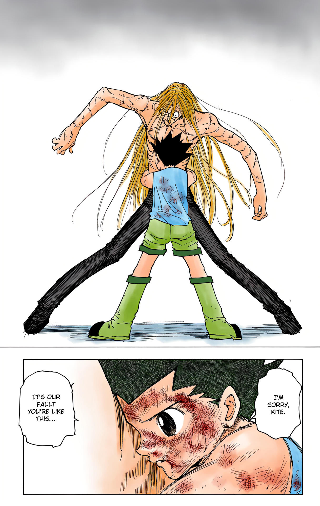 Hunter x Hunter - Digital Colored Comics Chap 222 - Next Chap 223