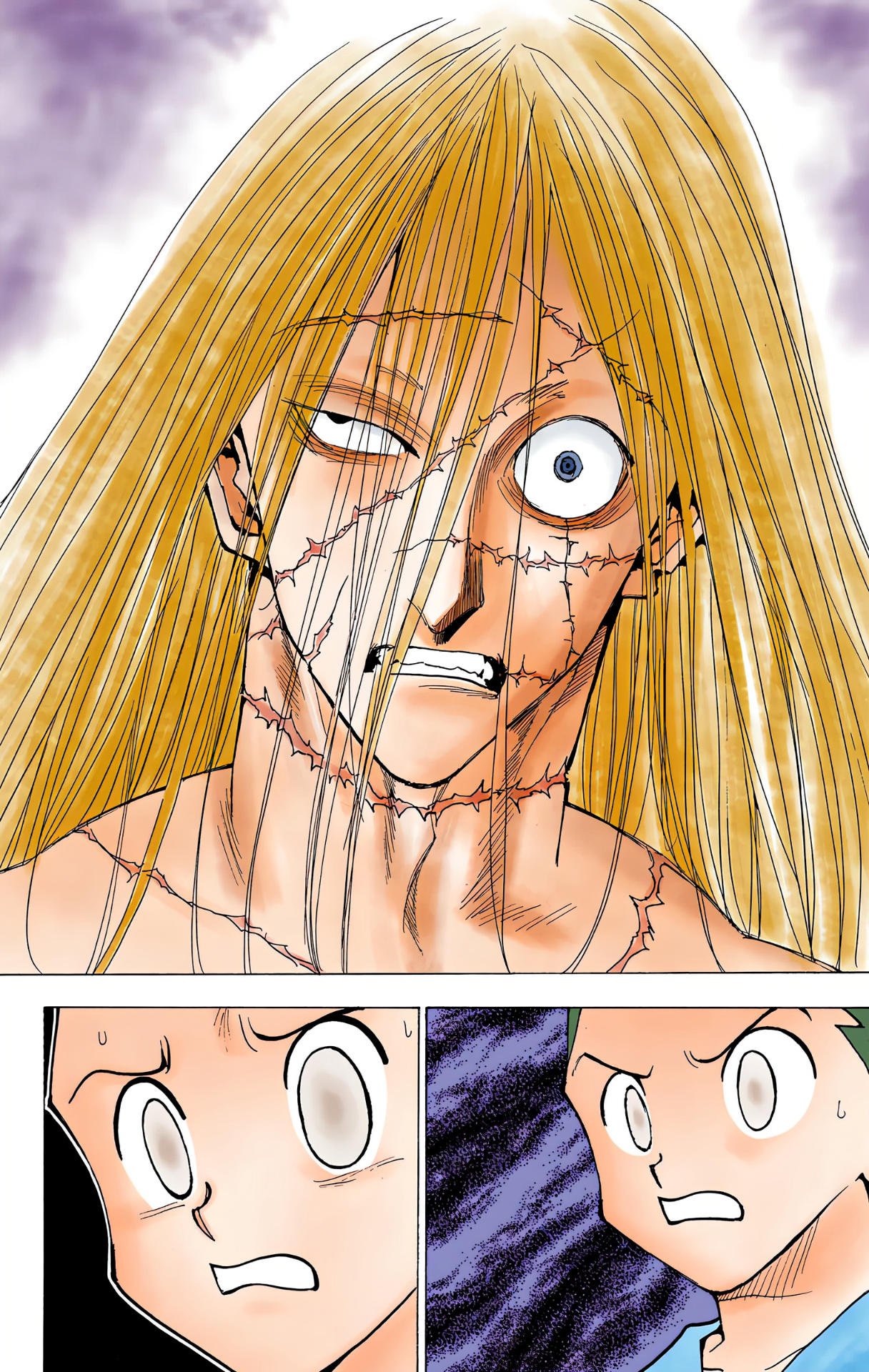 Hunter x Hunter - Digital Colored Comics Chap 222 - Next Chap 223