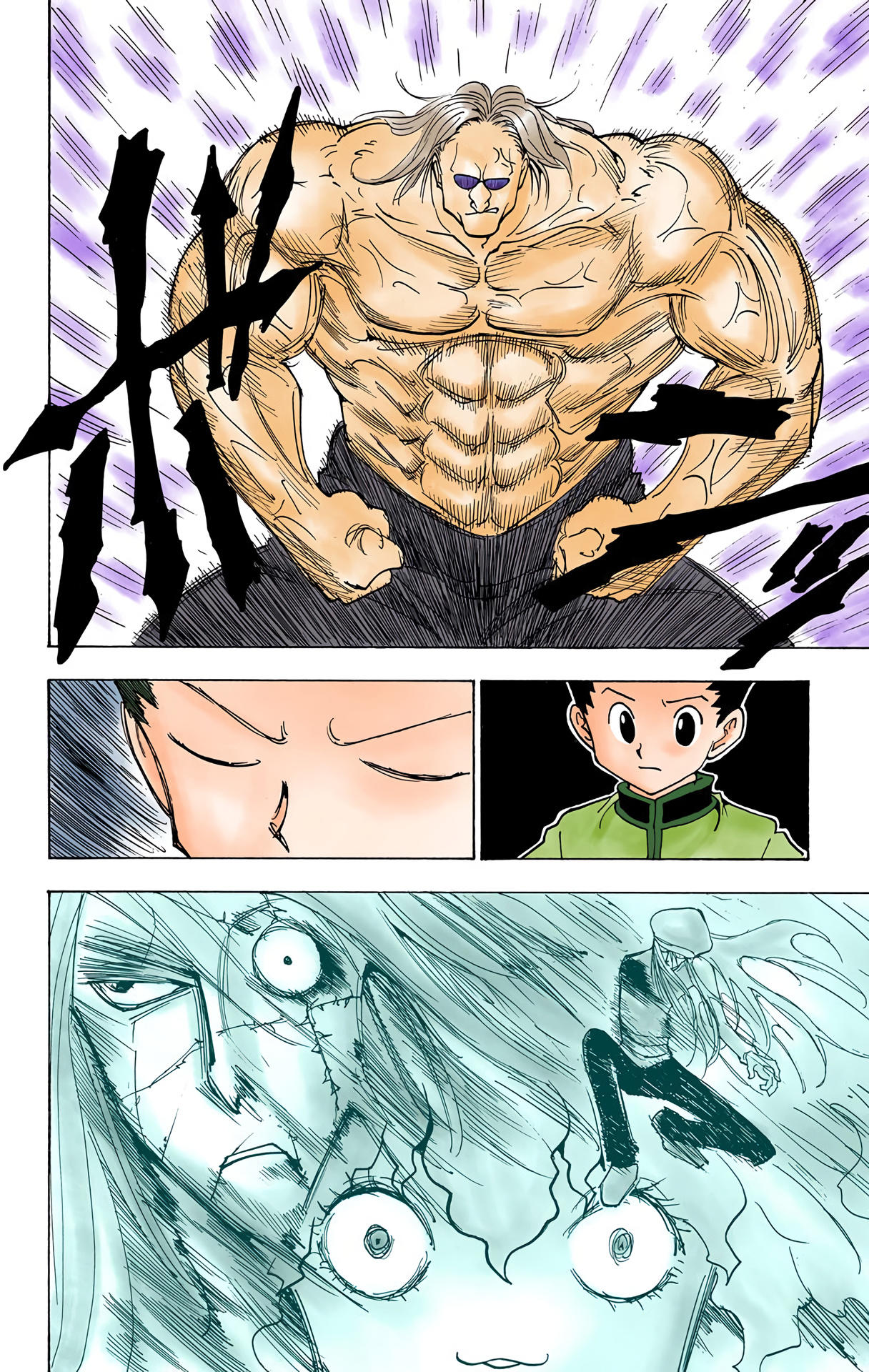 Hunter x Hunter - Digital Colored Comics Chap 223 - Next Chap 224