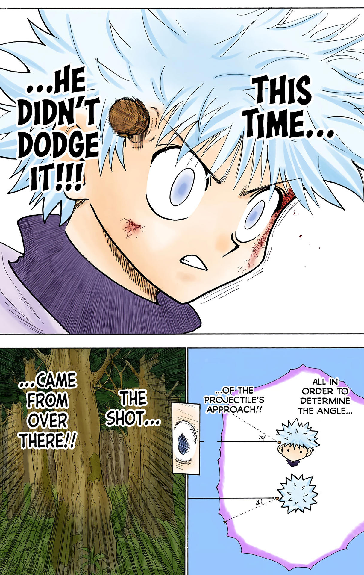 Hunter x Hunter - Digital Colored Comics Chap 237 - Next Chap 238