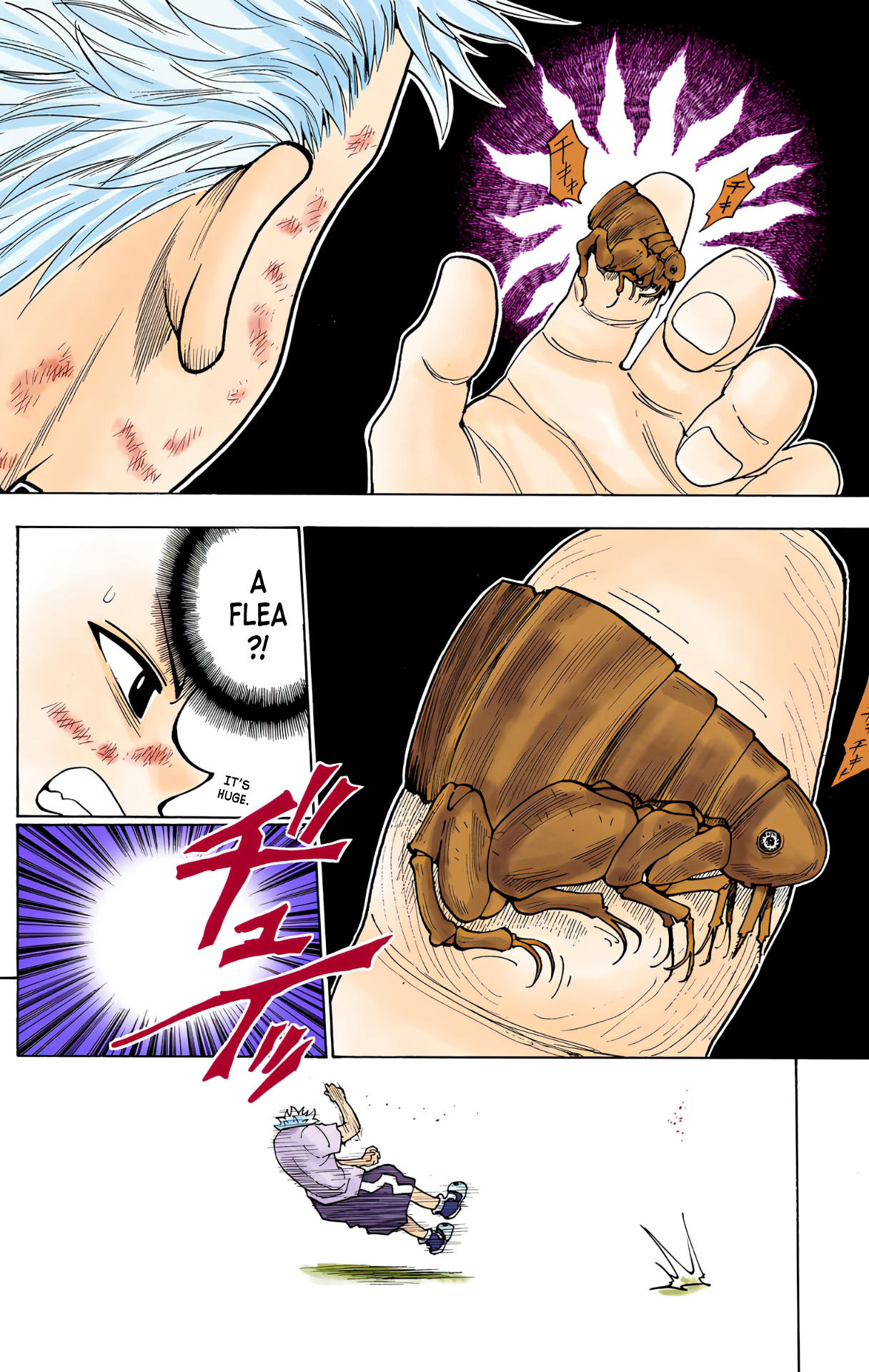 Hunter x Hunter - Digital Colored Comics Chap 236 - Next Chap 237