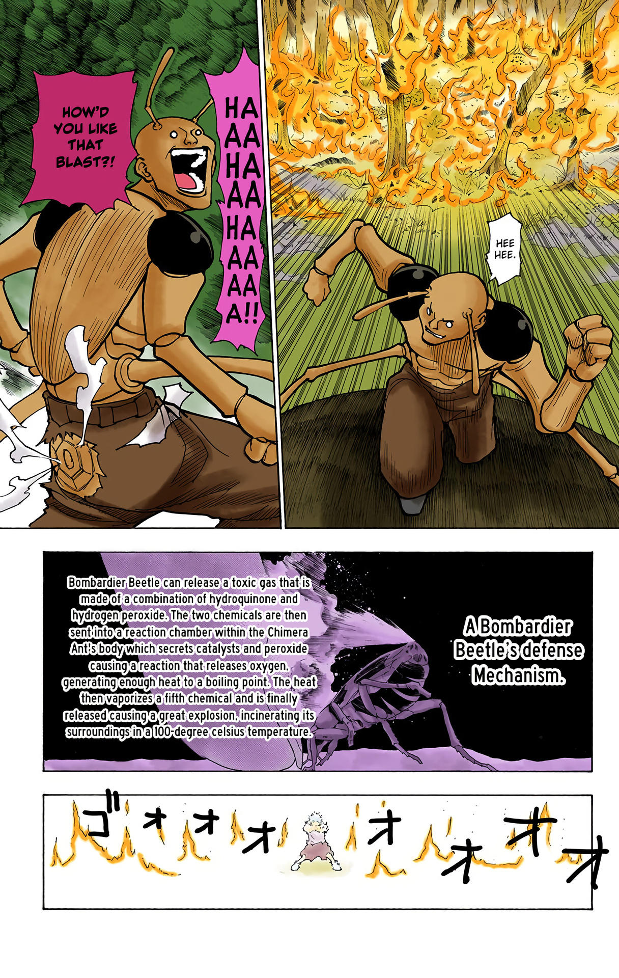 Hunter x Hunter - Digital Colored Comics Chap 236 - Next Chap 237