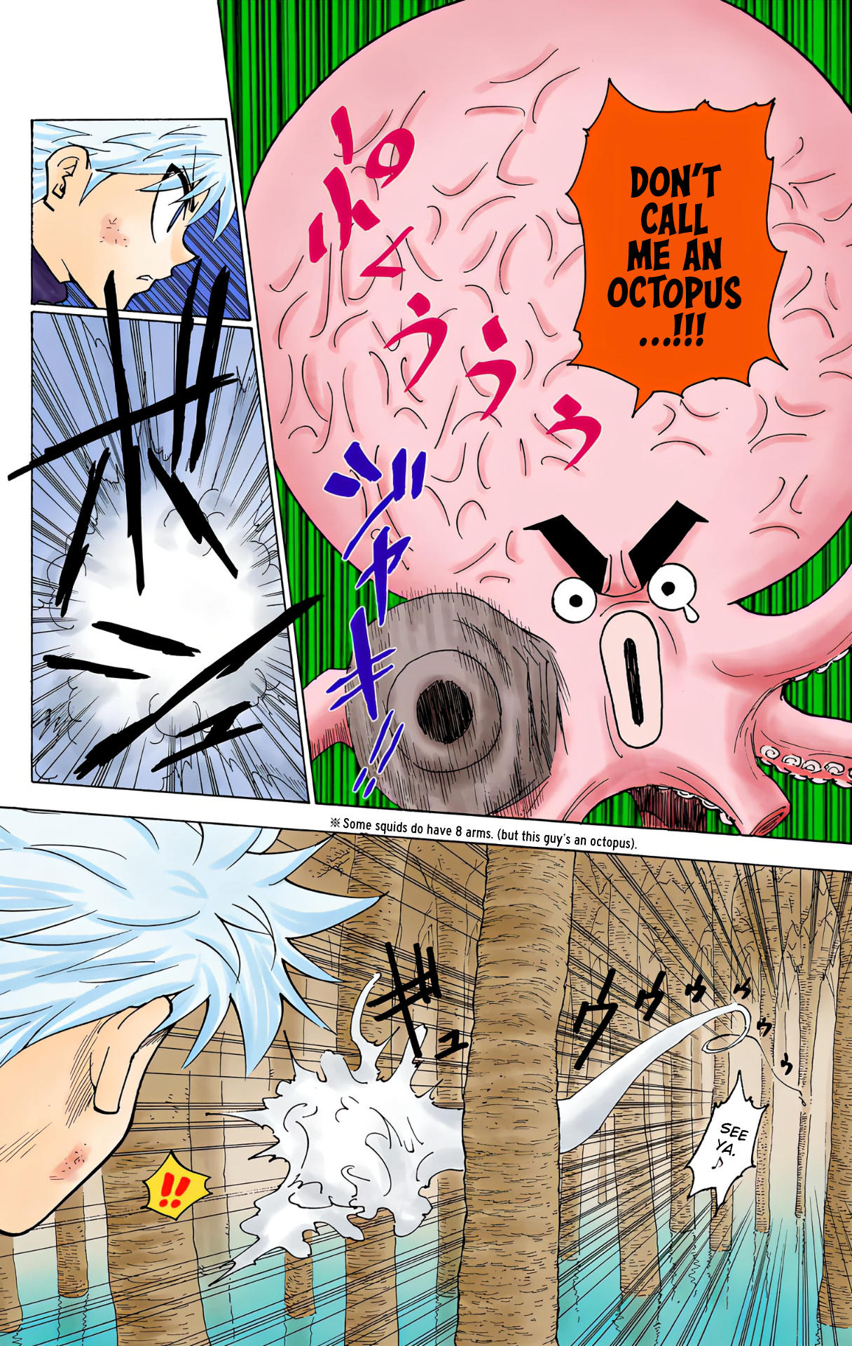 Hunter x Hunter - Digital Colored Comics Chap 238 - Next Chap 239