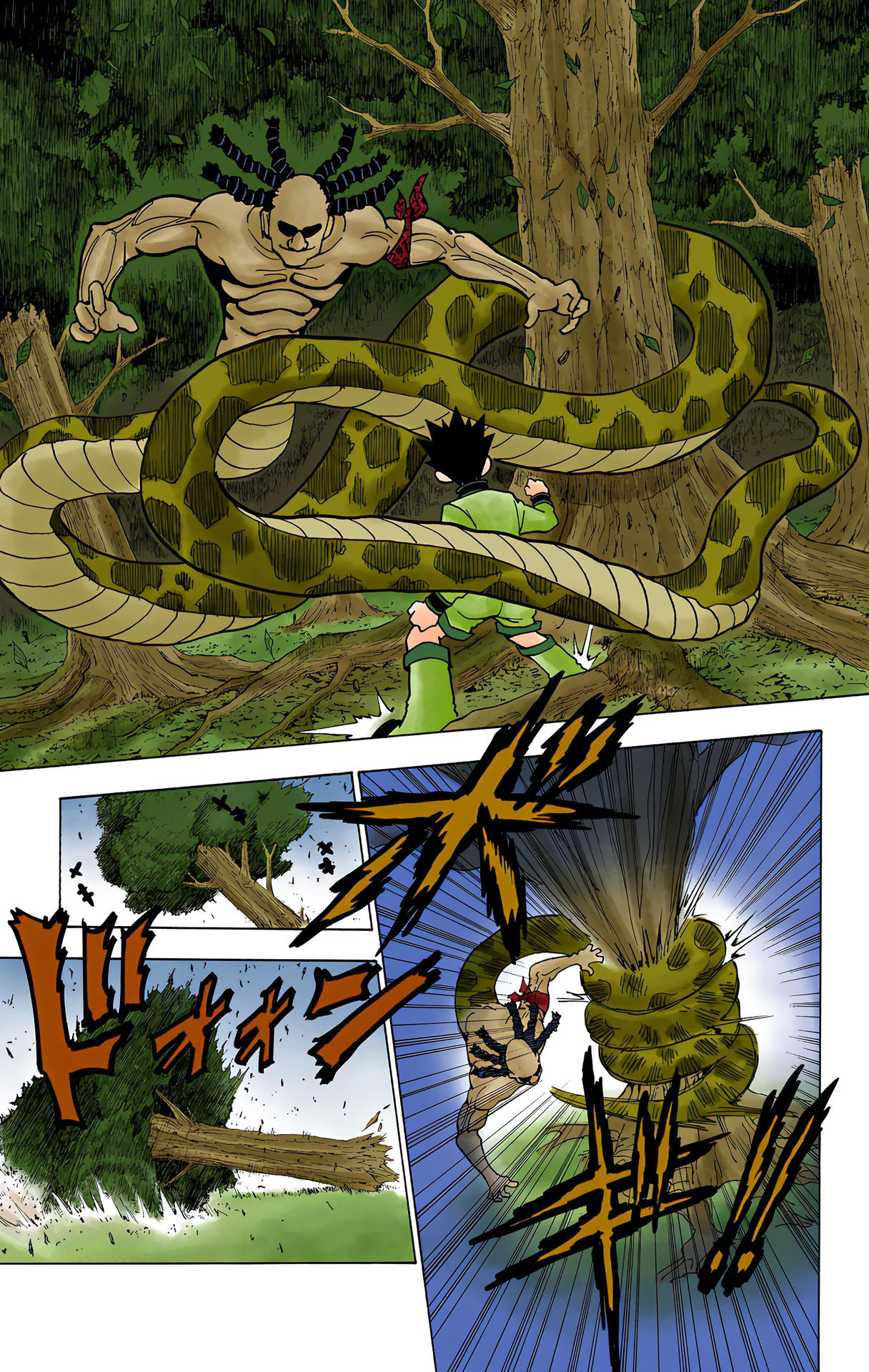 Hunter x Hunter - Digital Colored Comics Chap 231 - Next Chap 232