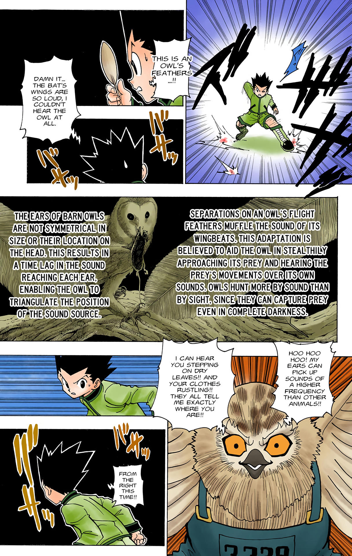 Hunter x Hunter - Digital Colored Comics Chap 232 - Next Chap 233