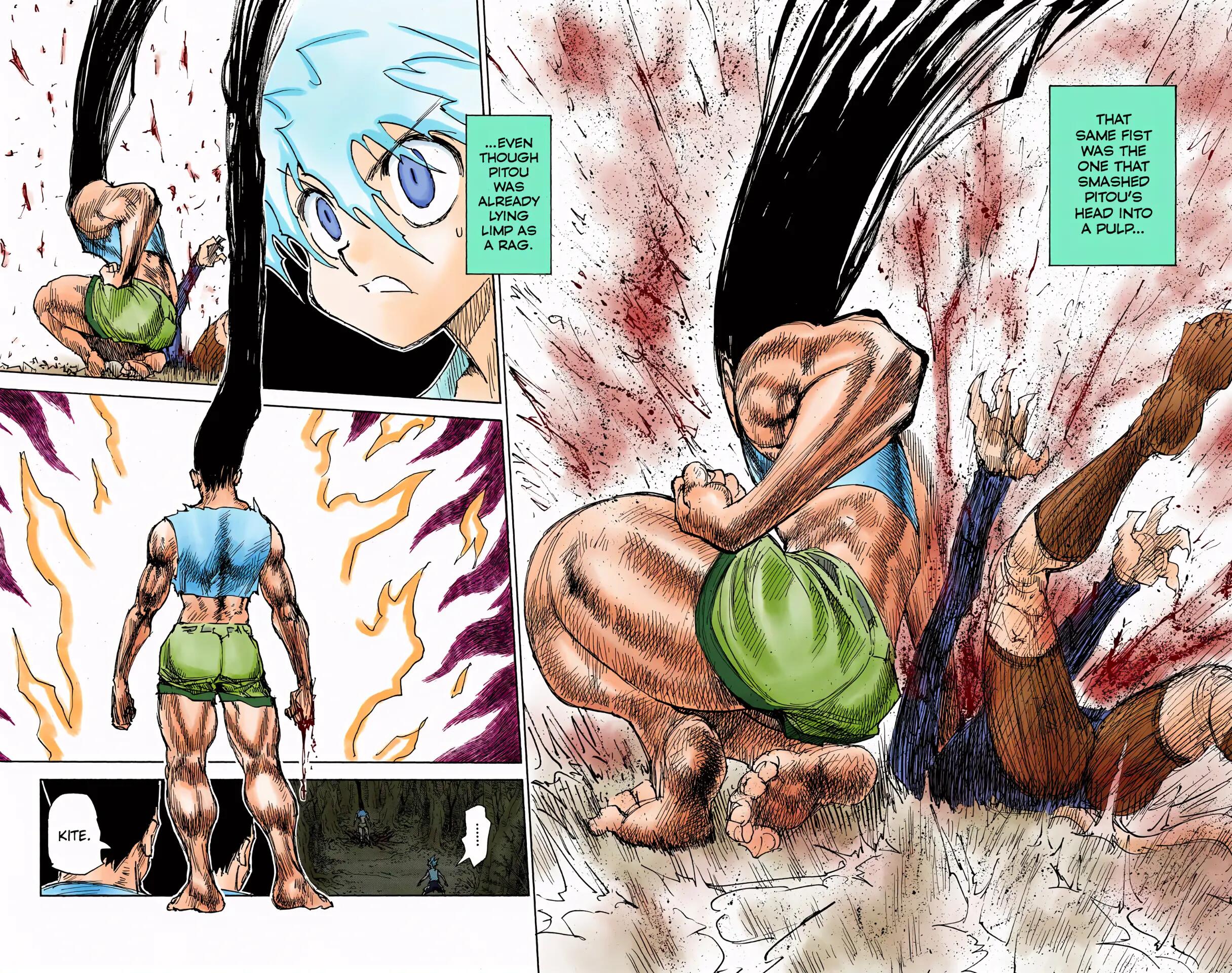 Hunter x Hunter - Digital Colored Comics Chap 307 - Next Chap 308