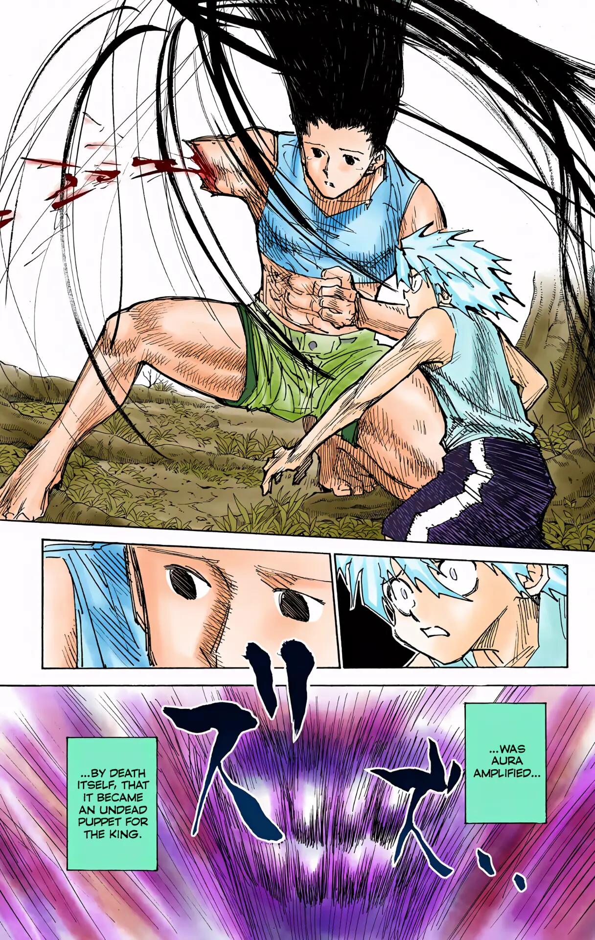 Hunter x Hunter - Digital Colored Comics Chap 307 - Next Chap 308