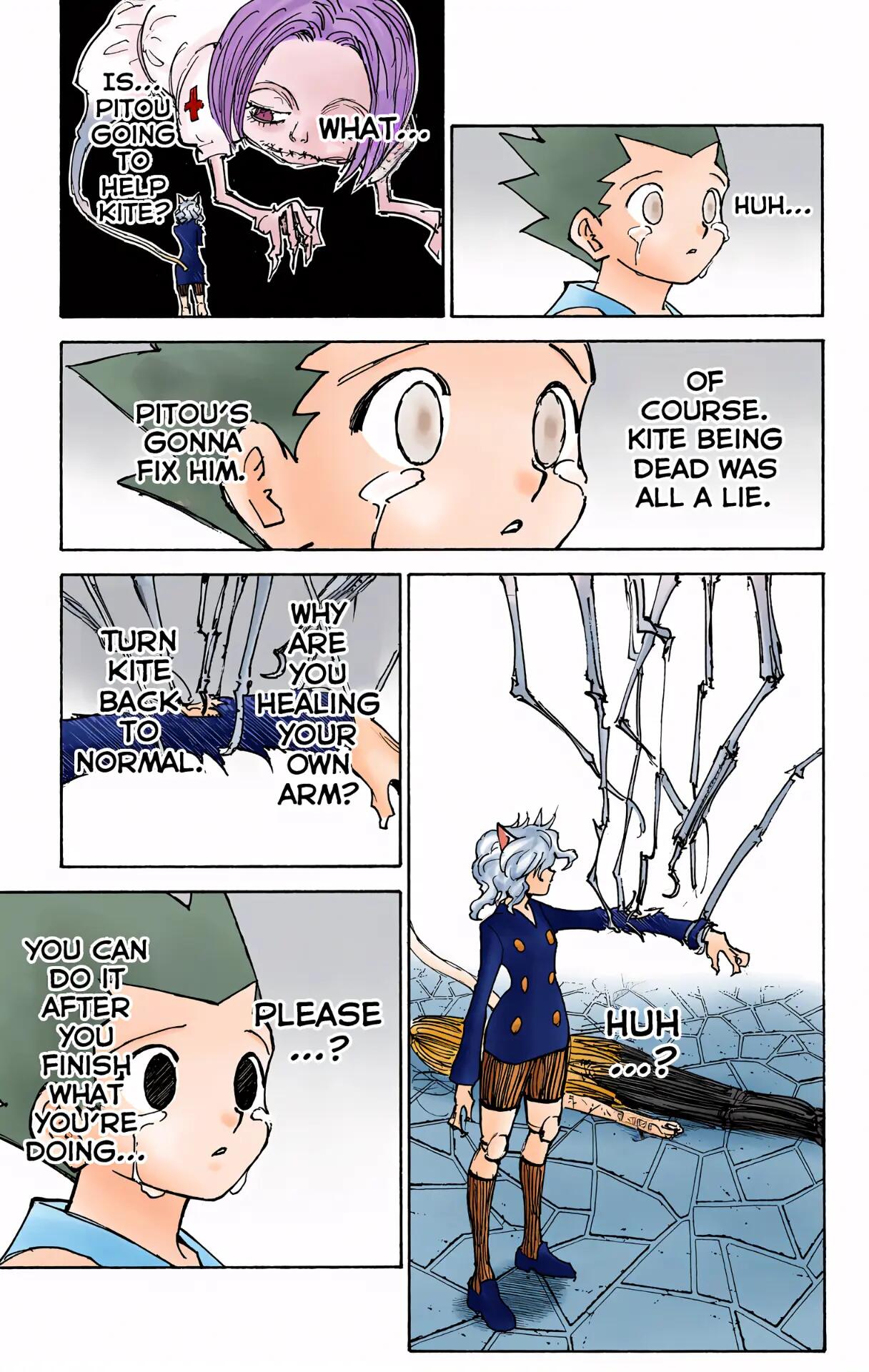 Hunter x Hunter - Digital Colored Comics Chap 305 - Next Chap 306
