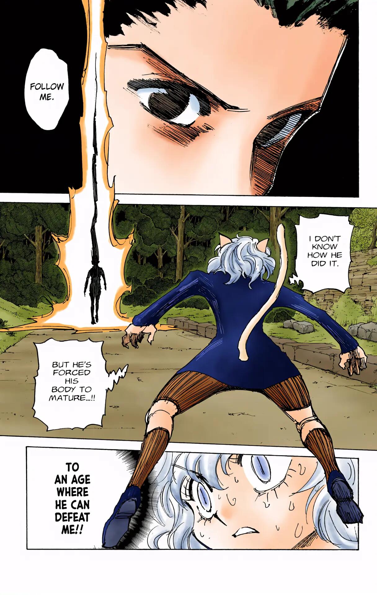 Hunter x Hunter - Digital Colored Comics Chap 306 - Next Chap 307