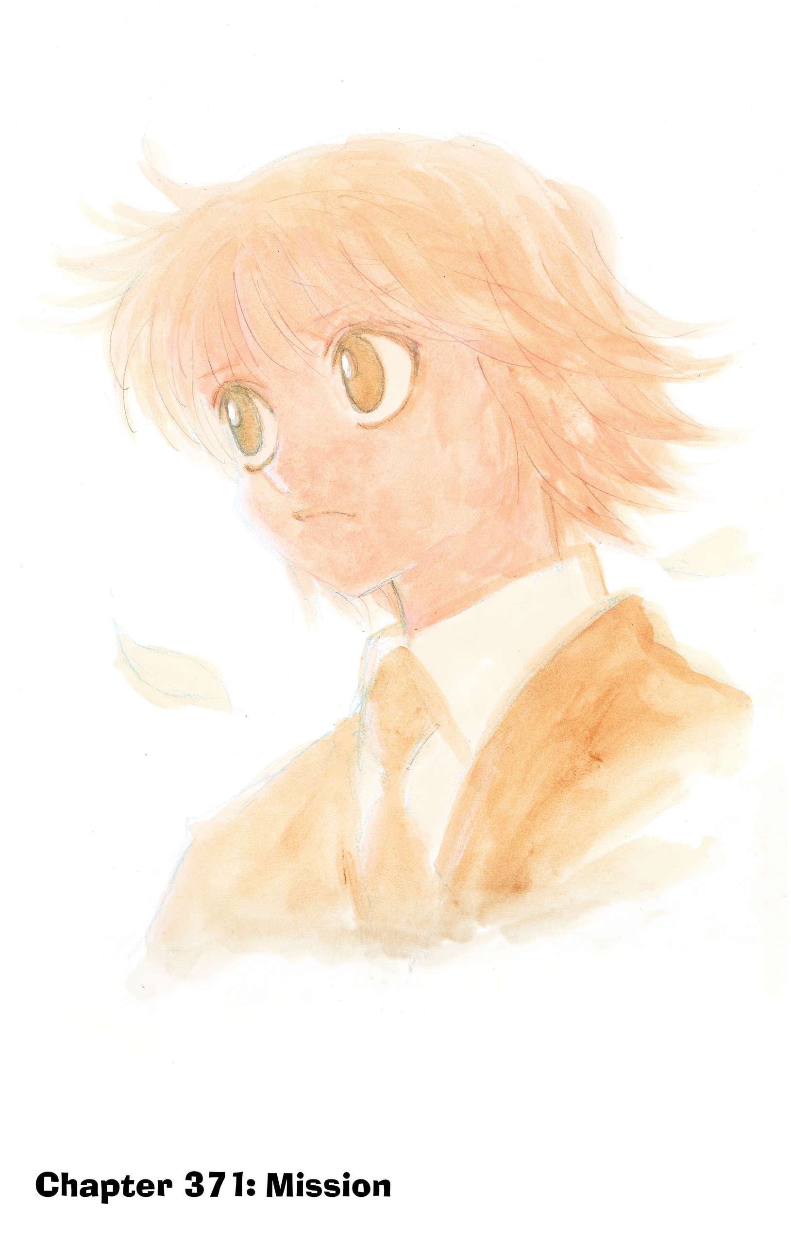 Hunter x Hunter - Digital Colored Comics Chap 371 - Next Chap 372