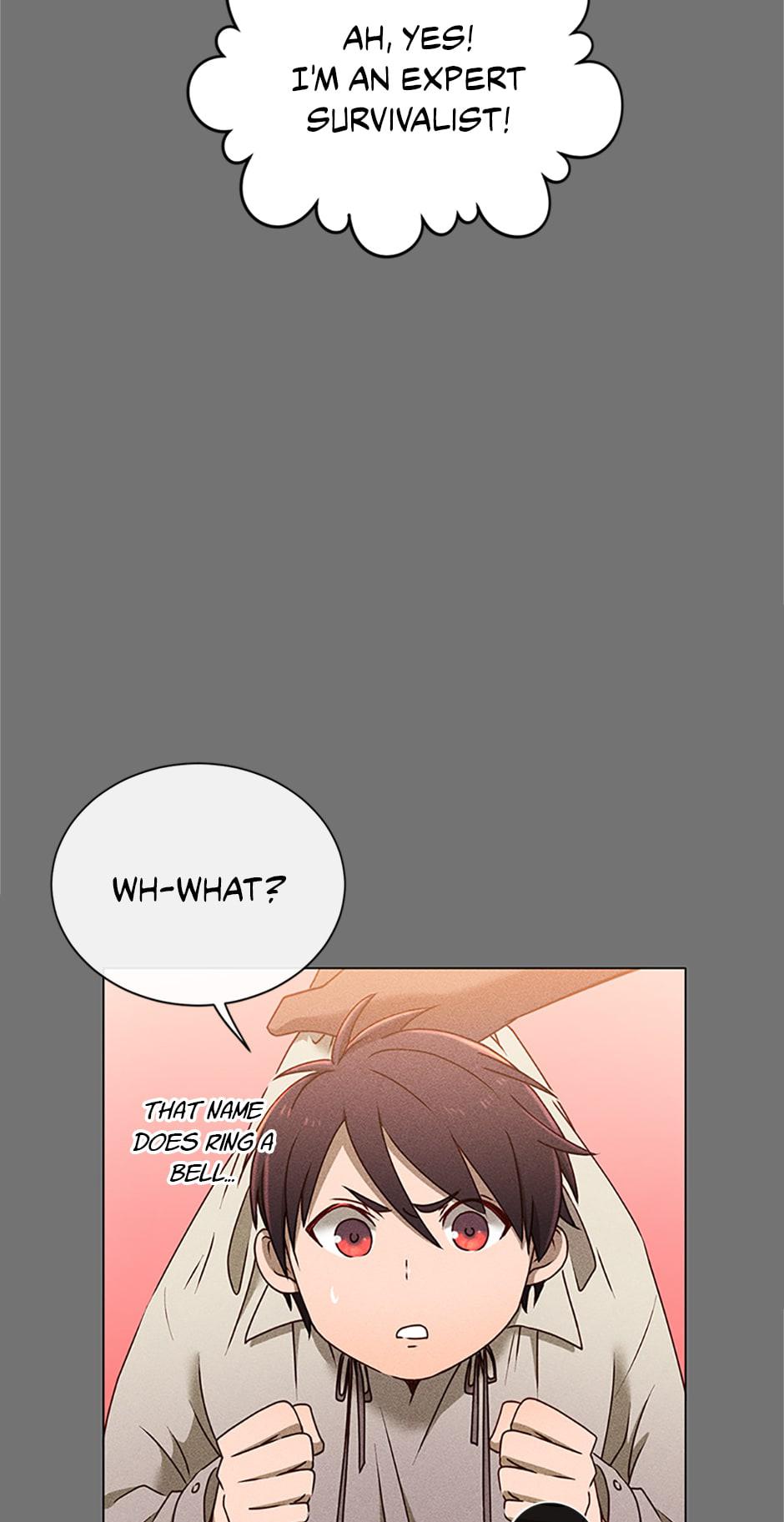 The Max Level Hero Strikes Back Chap 2 - Next Chap 3