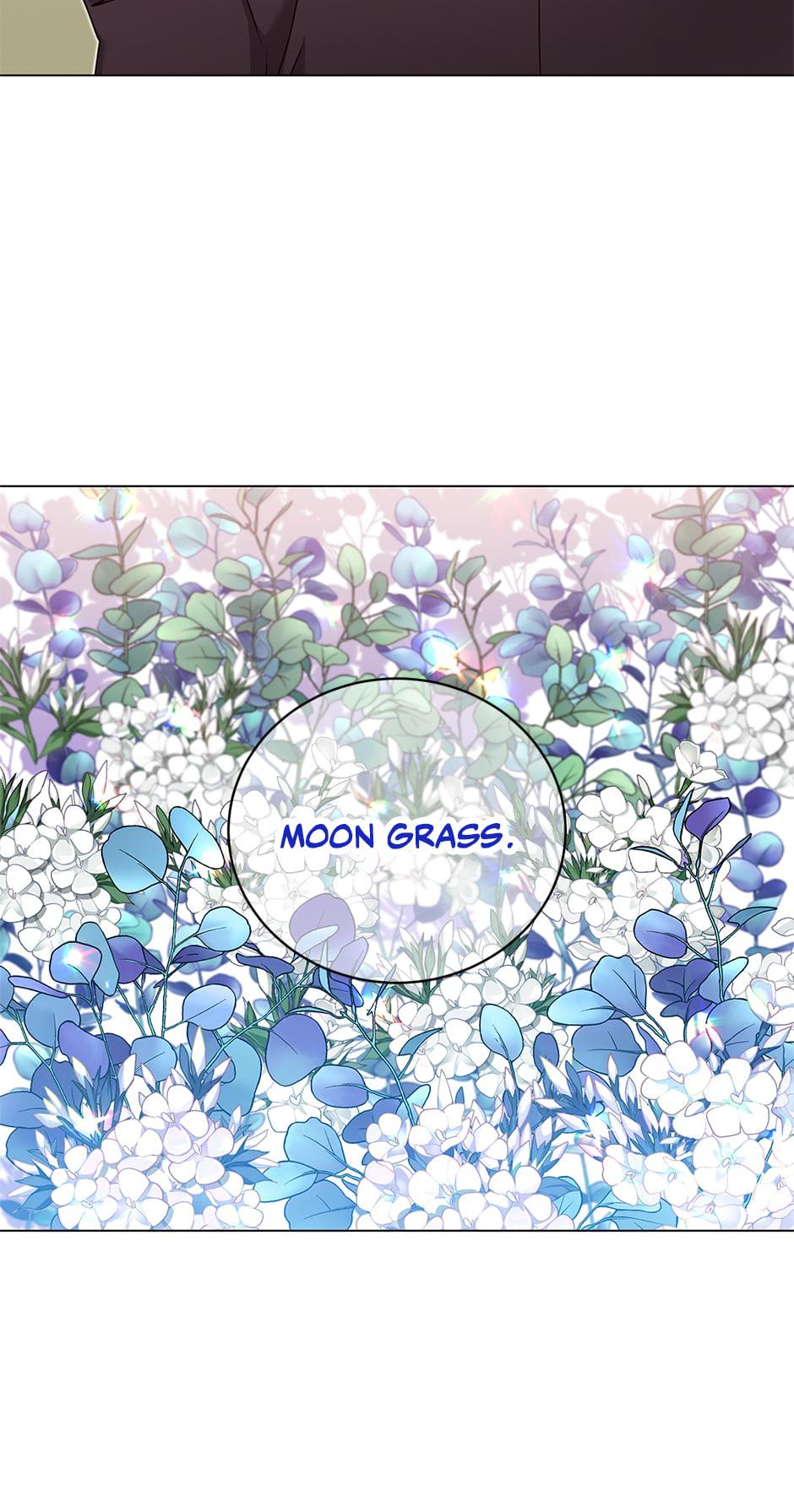 The Max Level Hero Strikes Back Chap 36 - Next Chap 37