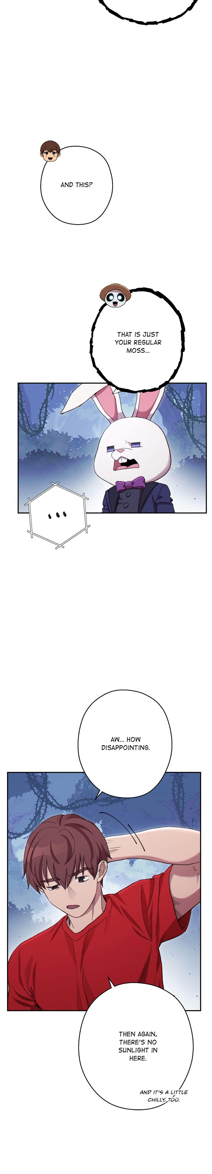 Dungeon Reset Chap 84 - Next Chap 85