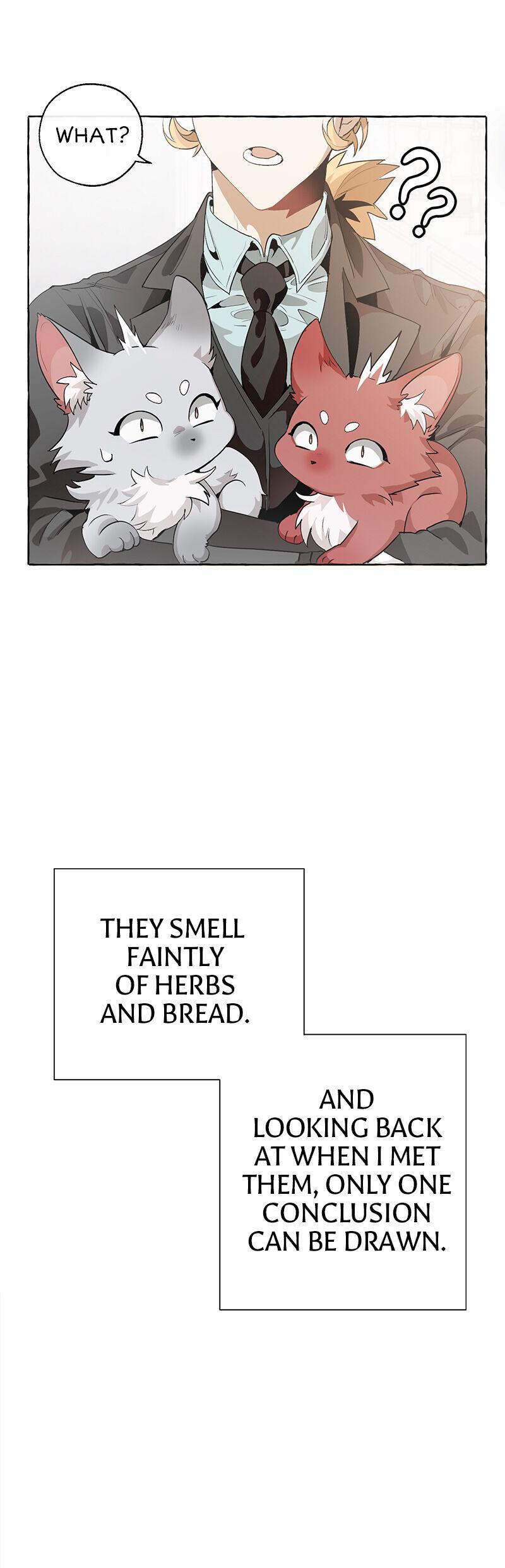 Trash of the Count's Family Chap 10 - Next Chap 11