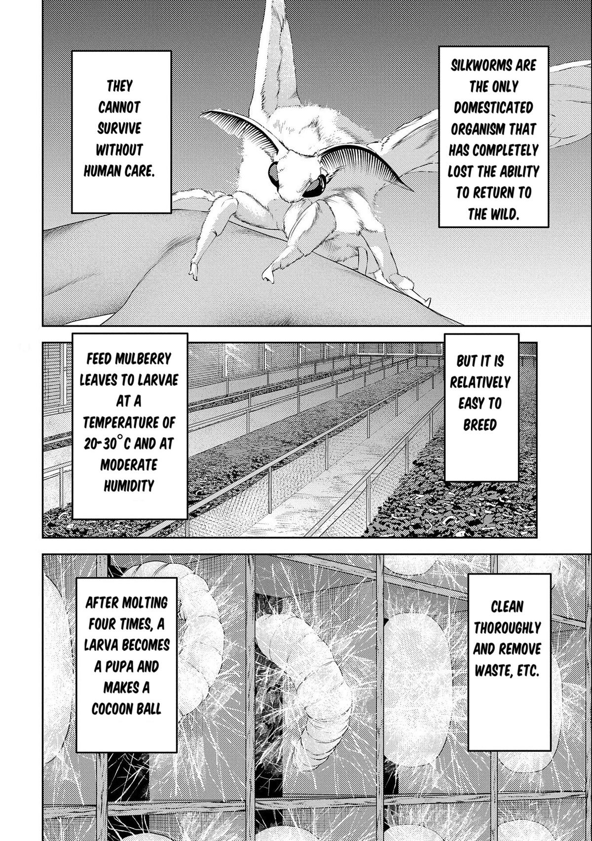 Sengoku Komachi Kuroutan: Noukou Giga Chap 74 - Next Chap 75