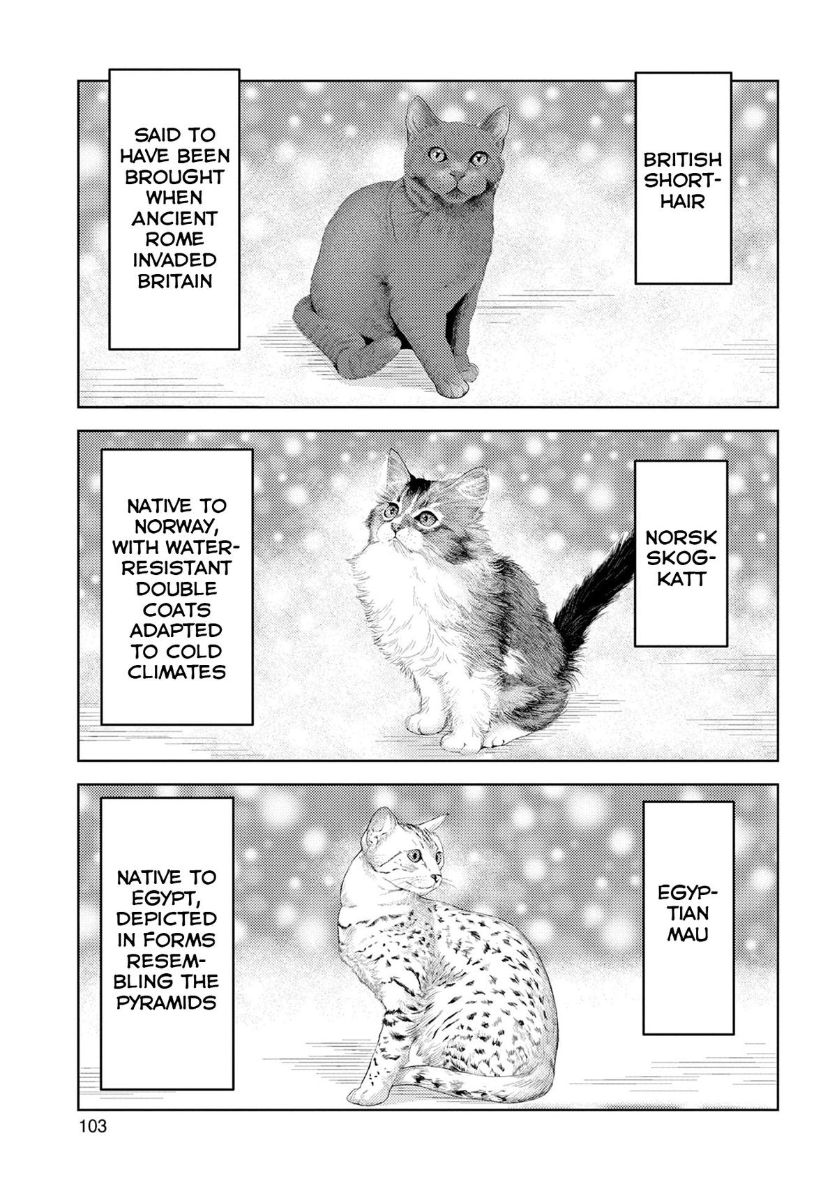 Sengoku Komachi Kuroutan: Noukou Giga Chap 89 - Next Chap 90