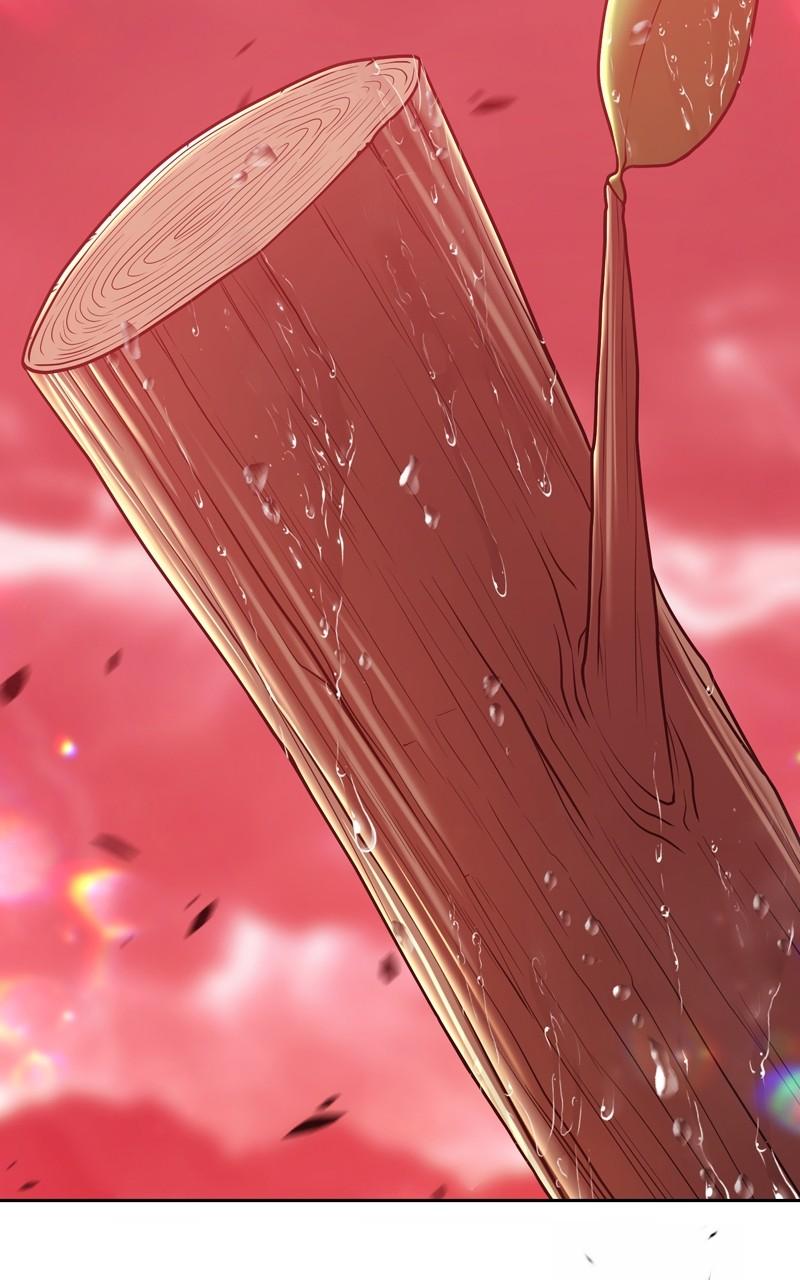 +99 Reinforced Wooden Stick Chap 80 - Next Chap 81
