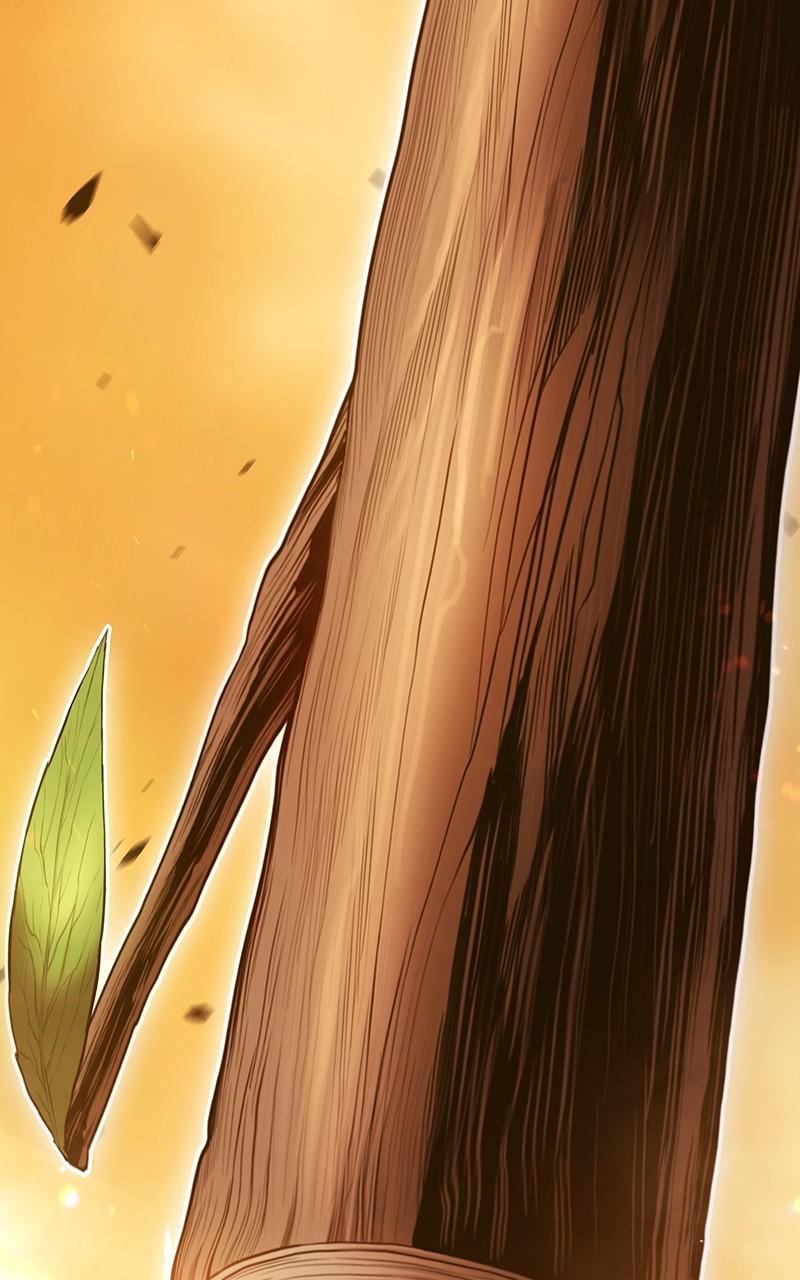 +99 Reinforced Wooden Stick Chap 116 - Next Chap 117