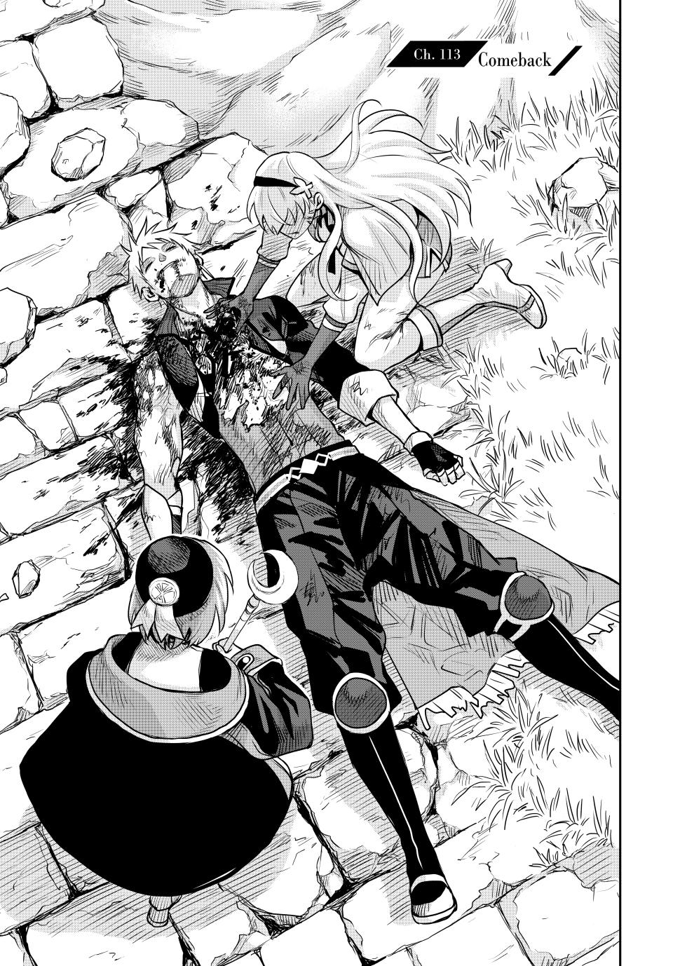 Mikata ga Yowa Sugite Hojo Mahou ni Toushite ita Kyuutei Mahou shi, Tsuihou Sarete Saikyou wo Mezasu Chap 113 - Next Chap 114