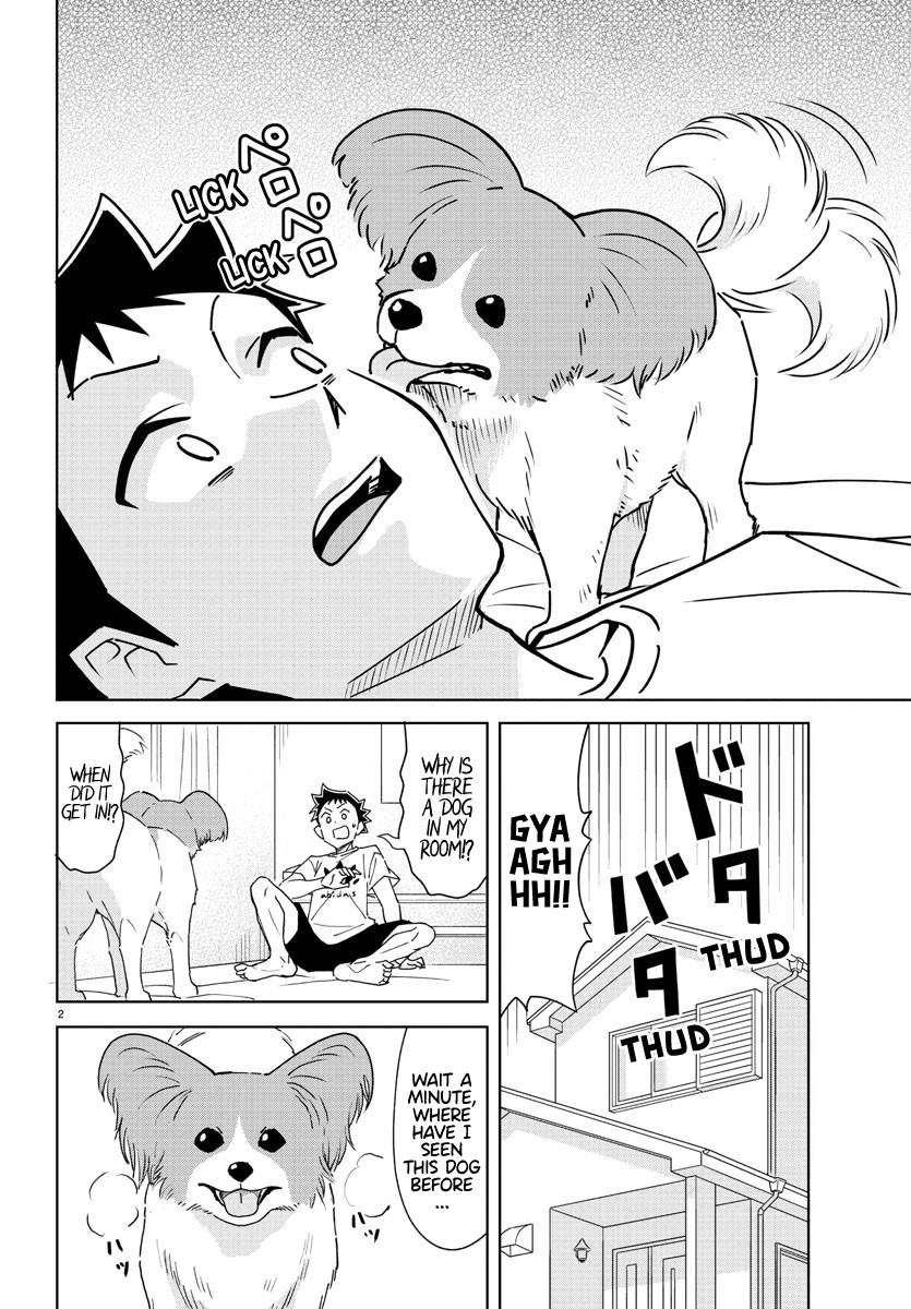 Atsumare! Fushigi Kenkyuubu Chap 325 - Next Chap 326