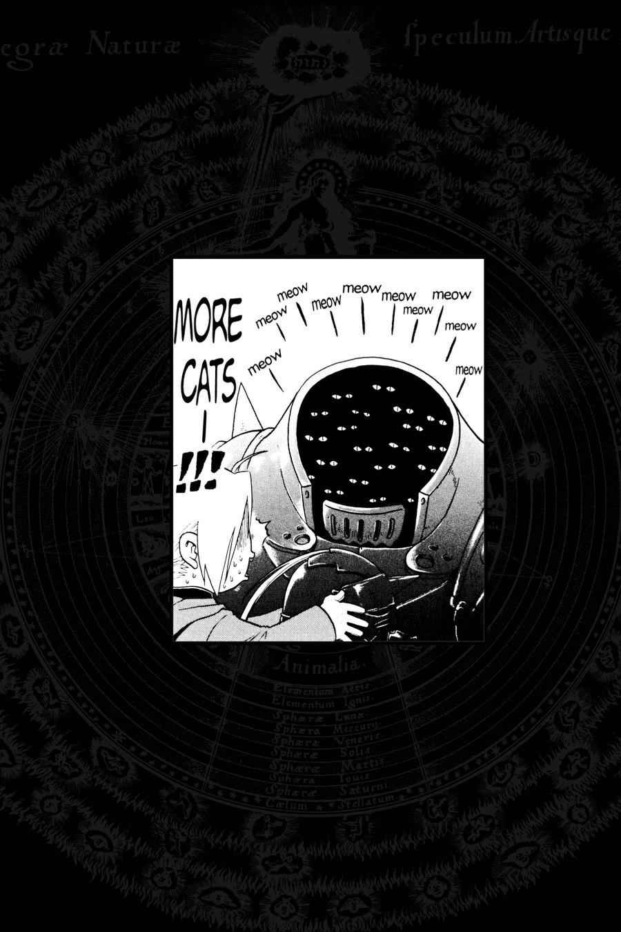 Fullmetal Alchemist Chap 21 - Next Chap 22