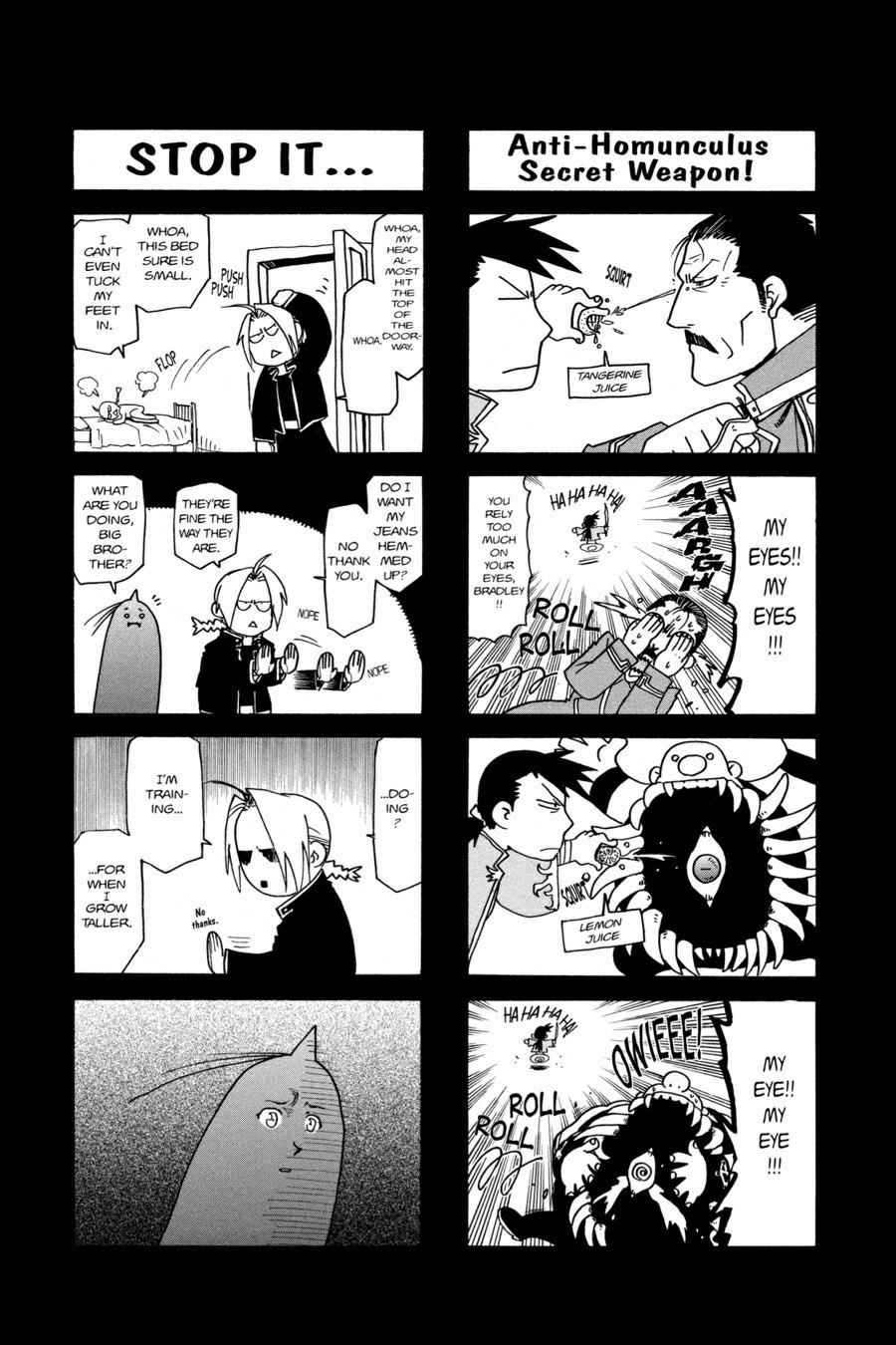 Fullmetal Alchemist Chap 49 - Next Chap 50