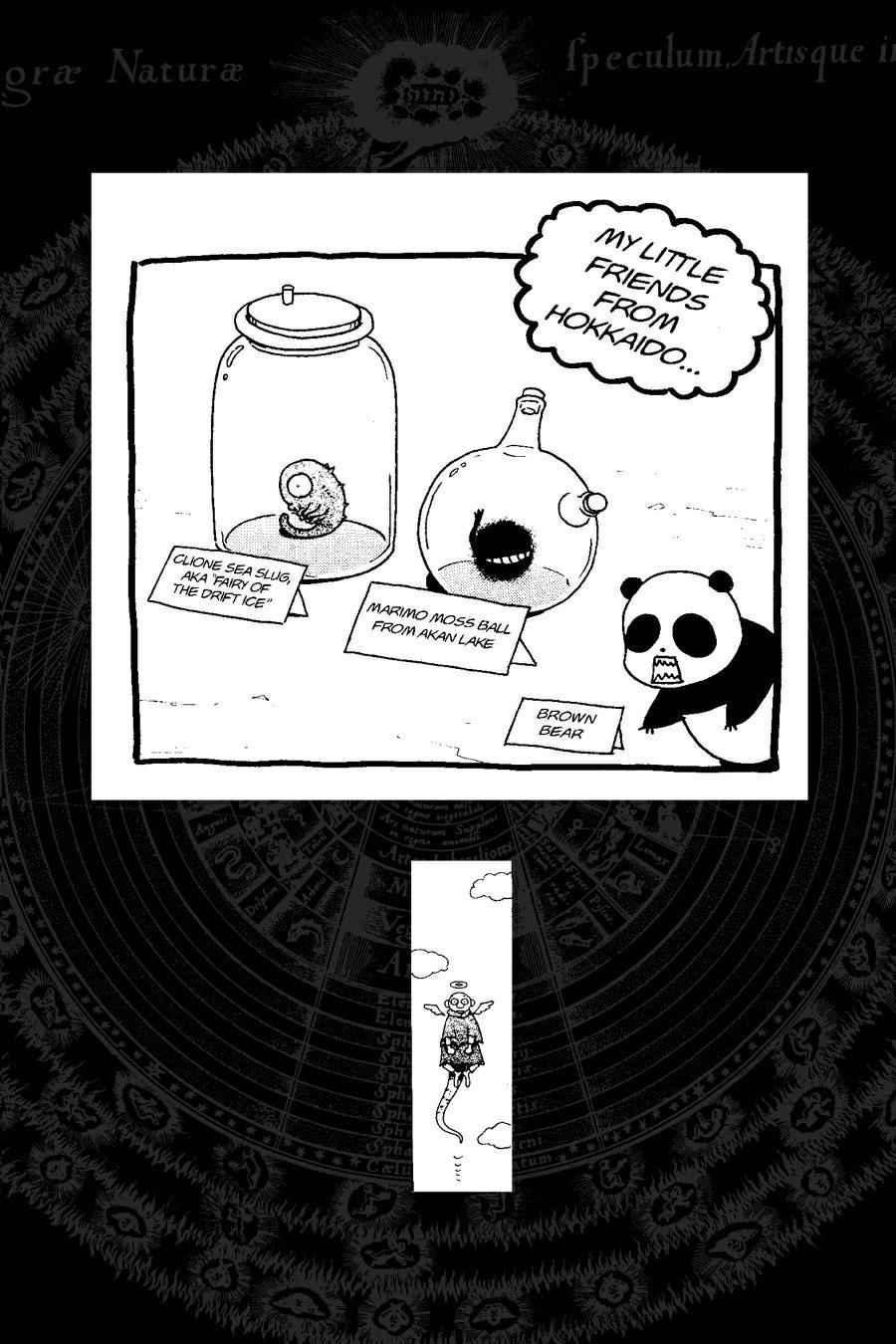 Fullmetal Alchemist Chap 83 - Next Chap 84